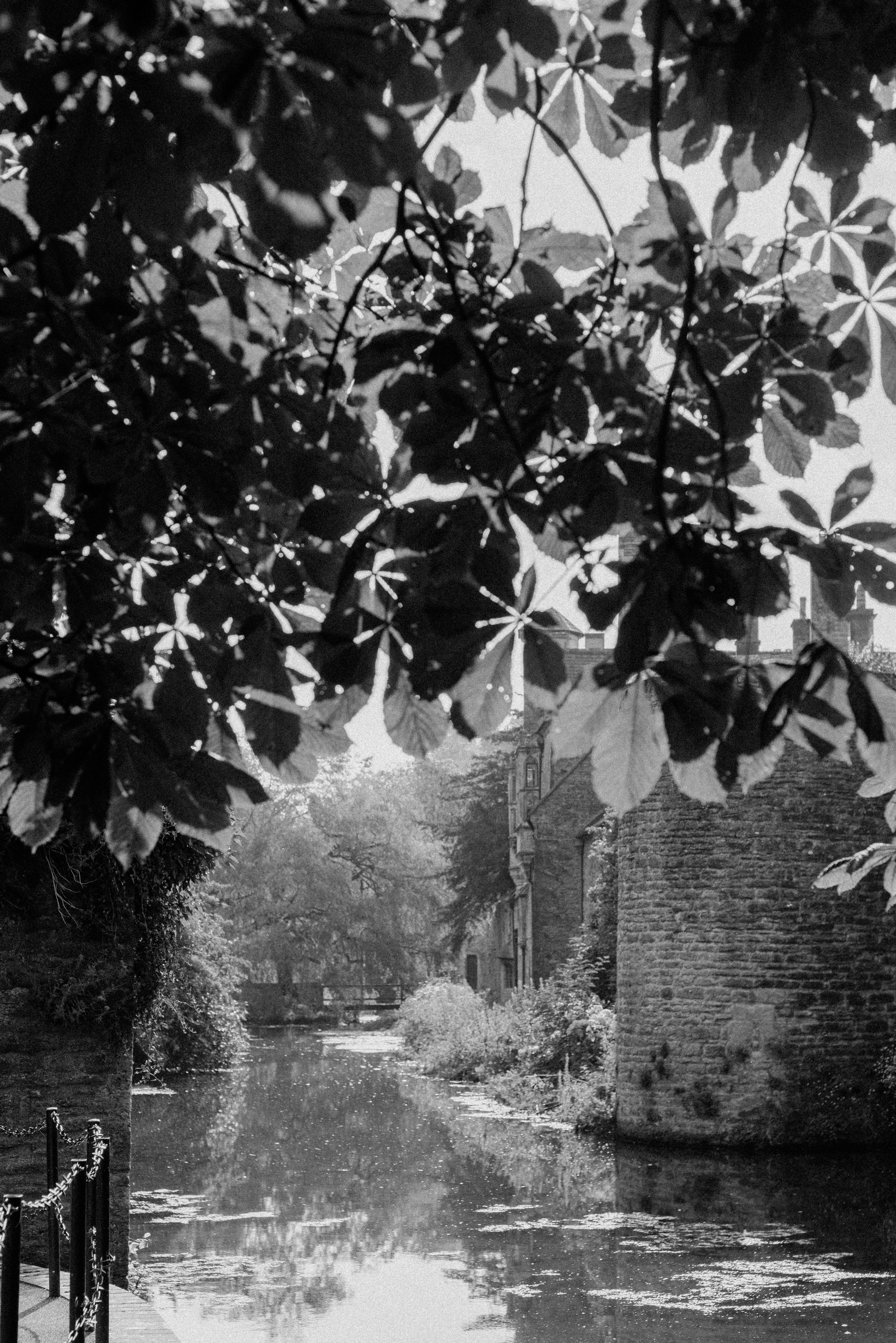 Photo by anniespratt