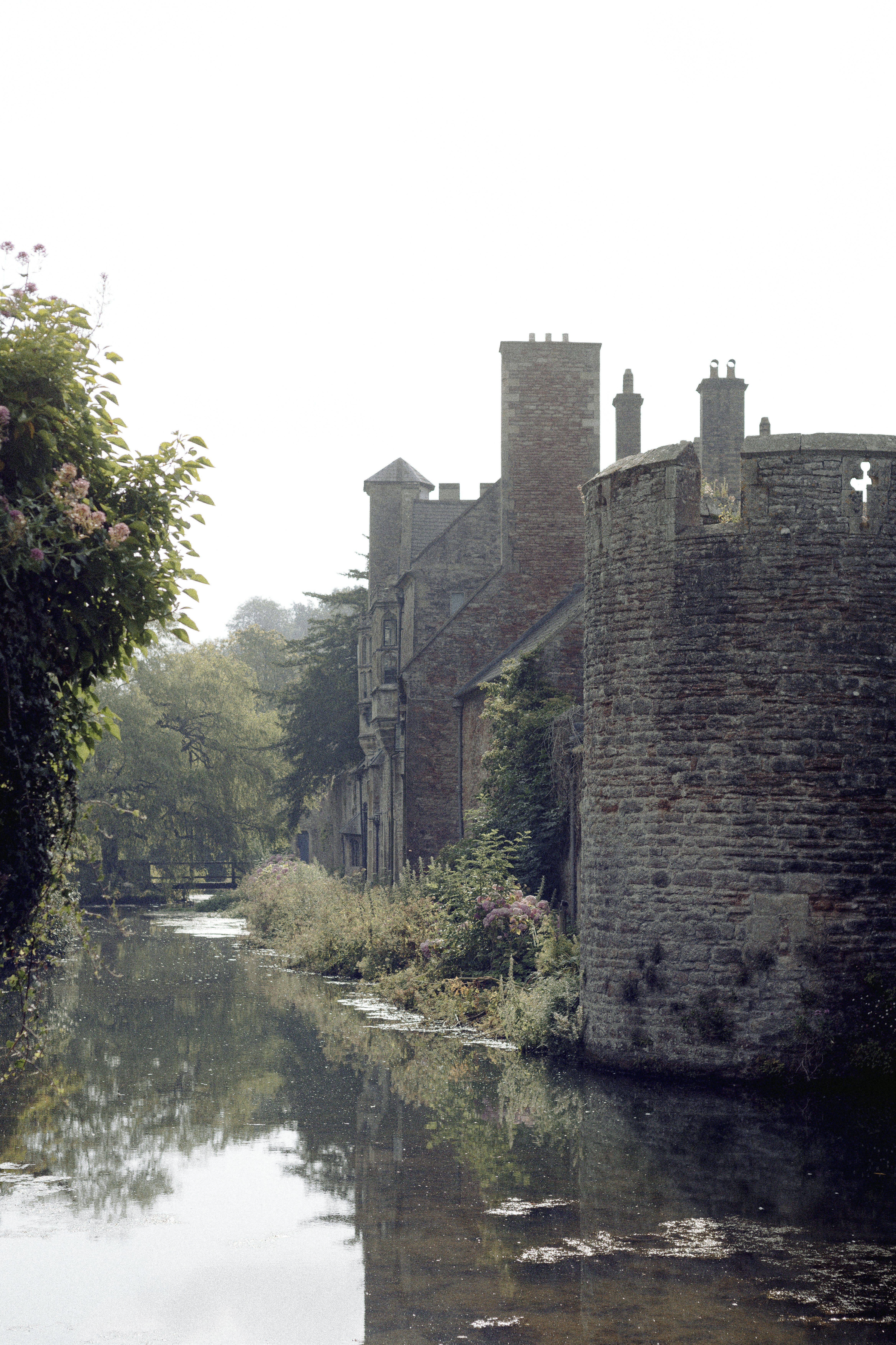 Photo by anniespratt