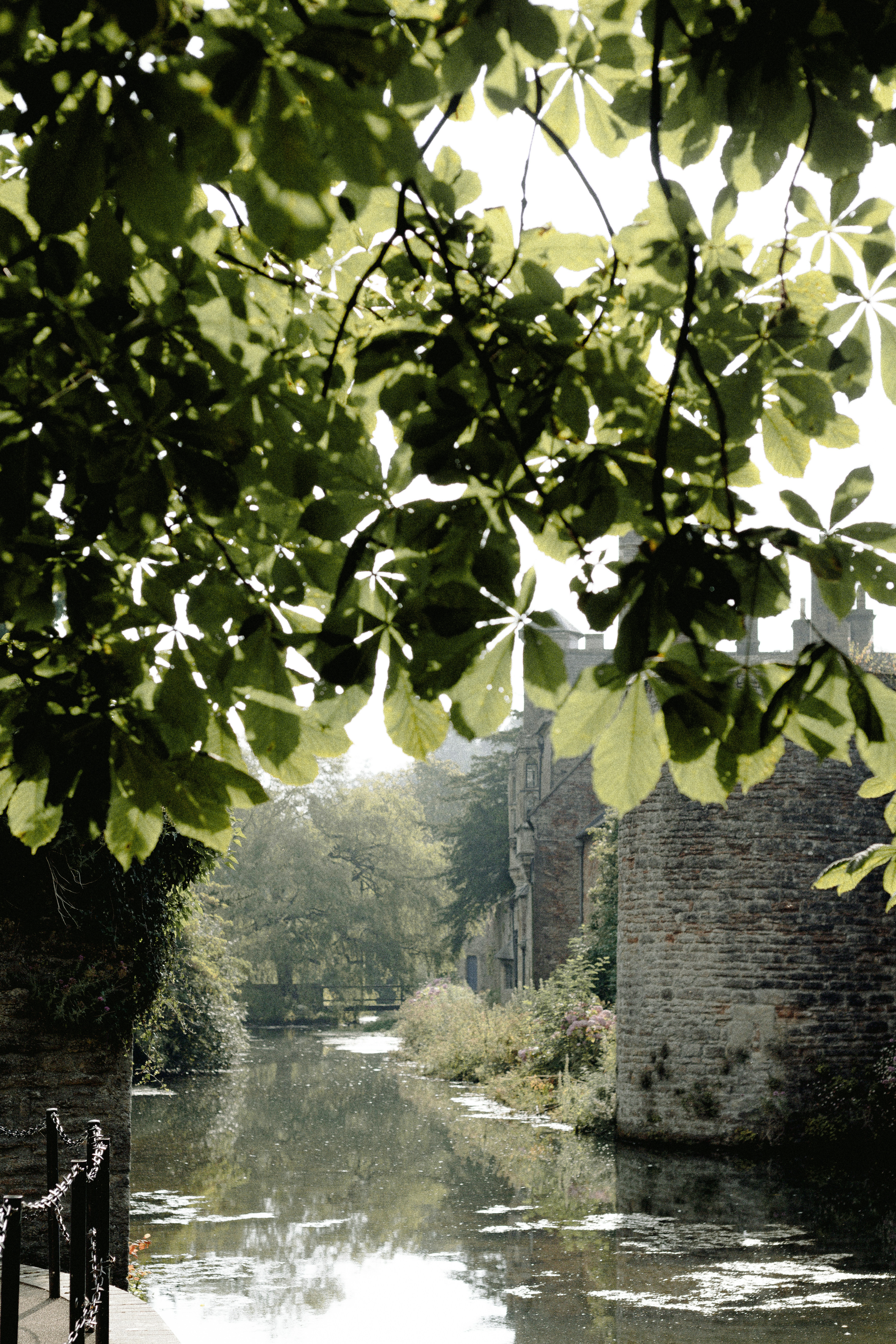 A bench sitting on the side of a river
