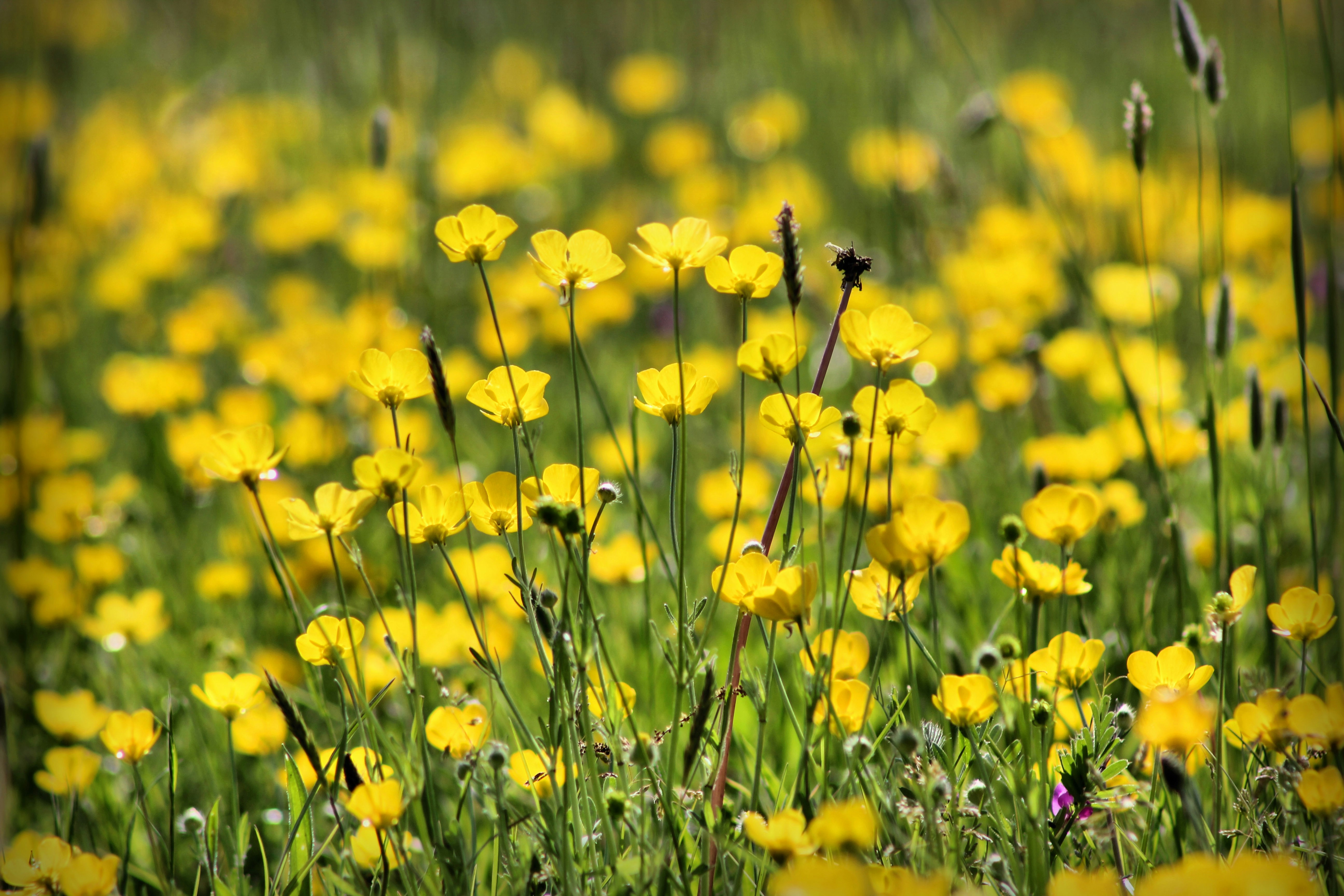 Photo by katerussell76