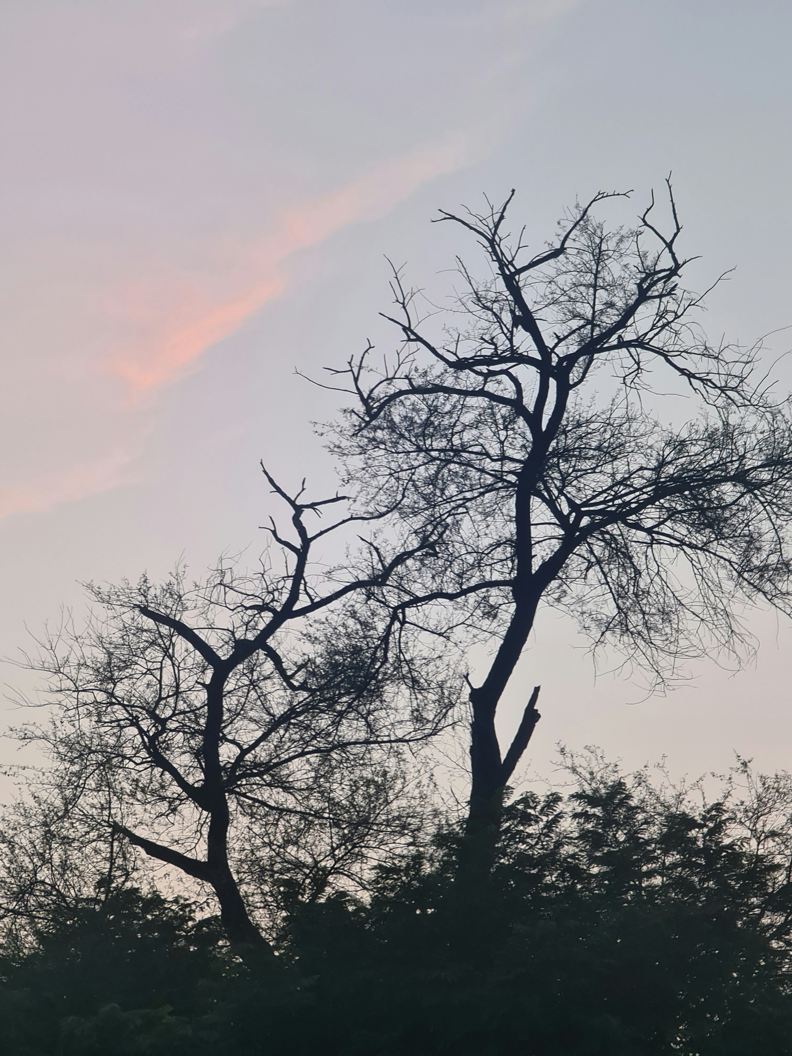 Photo by prince_02765