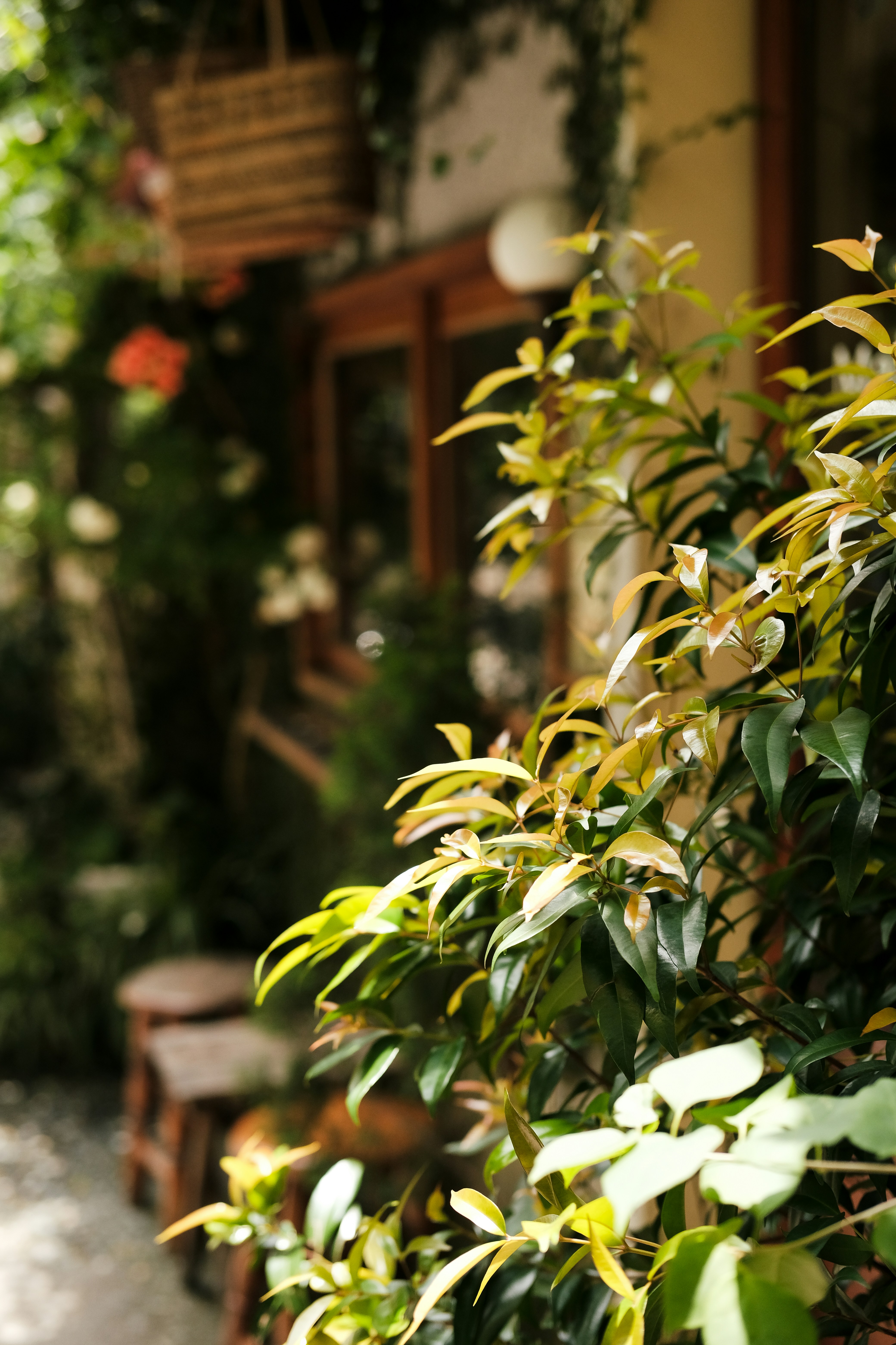 Photo by nganduong93