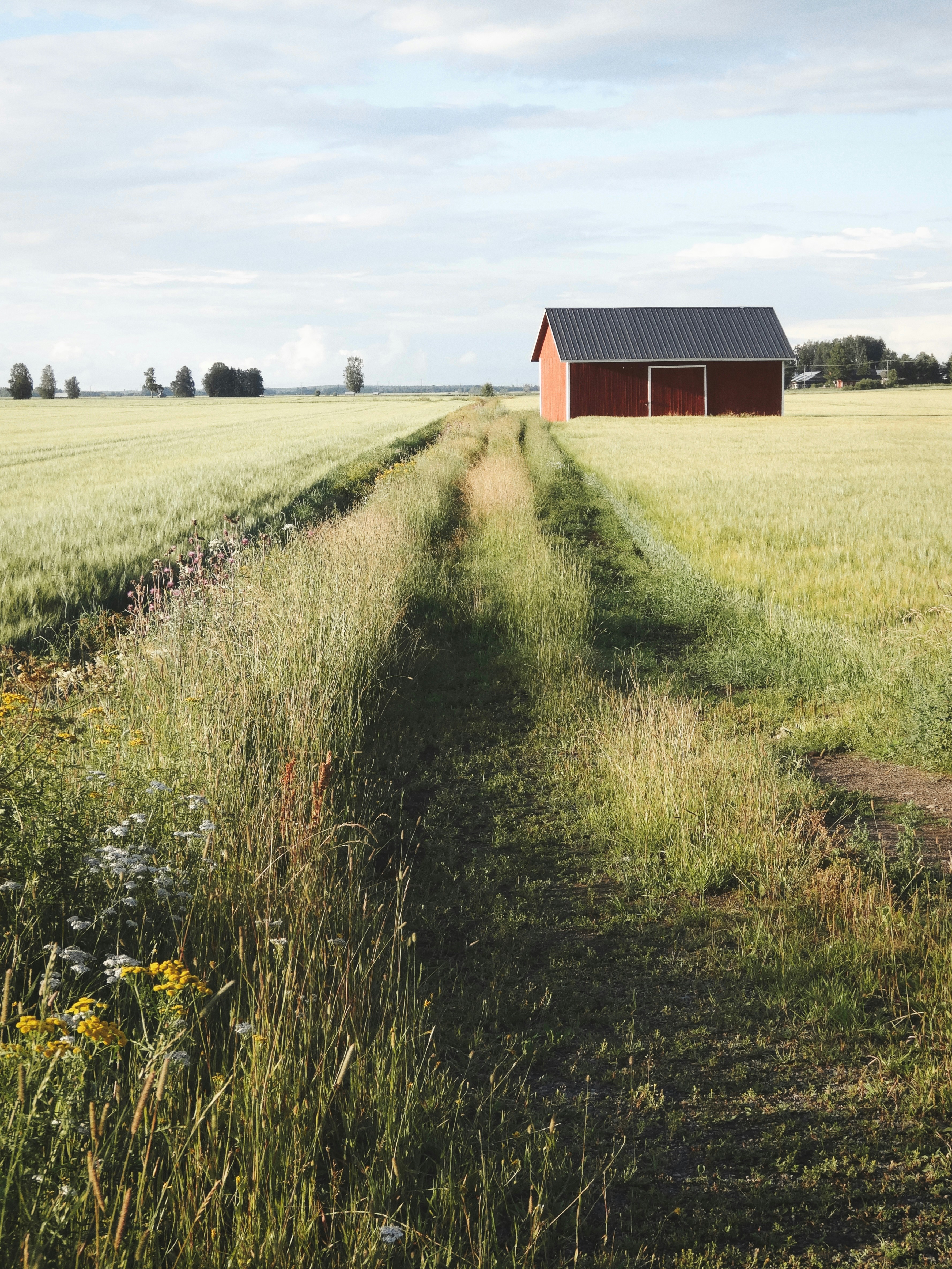 A red barn sitting on top of a lush green field