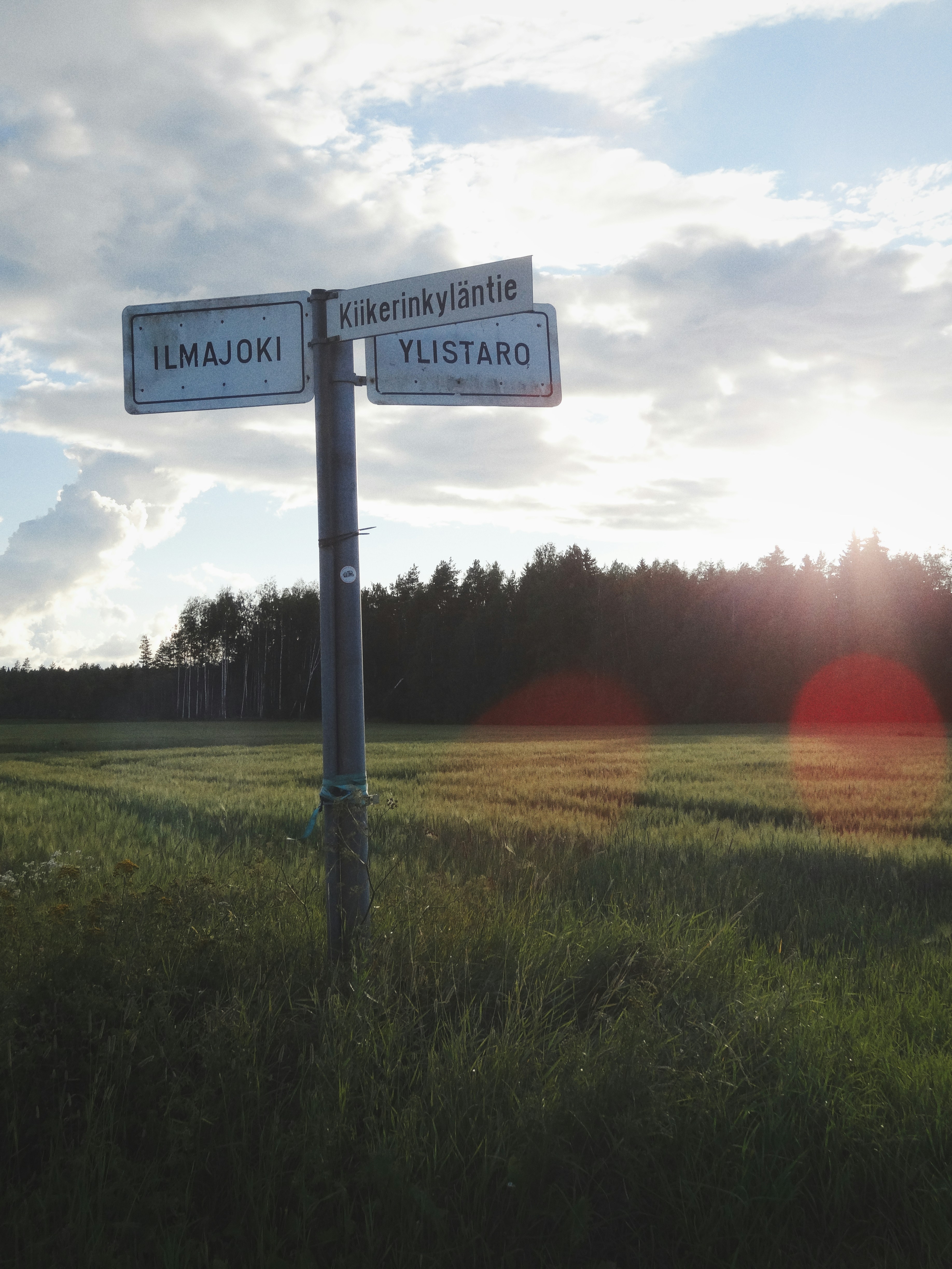 A couple of street signs sitting on top of a lush green field