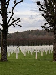 A field full of white crosses and trees