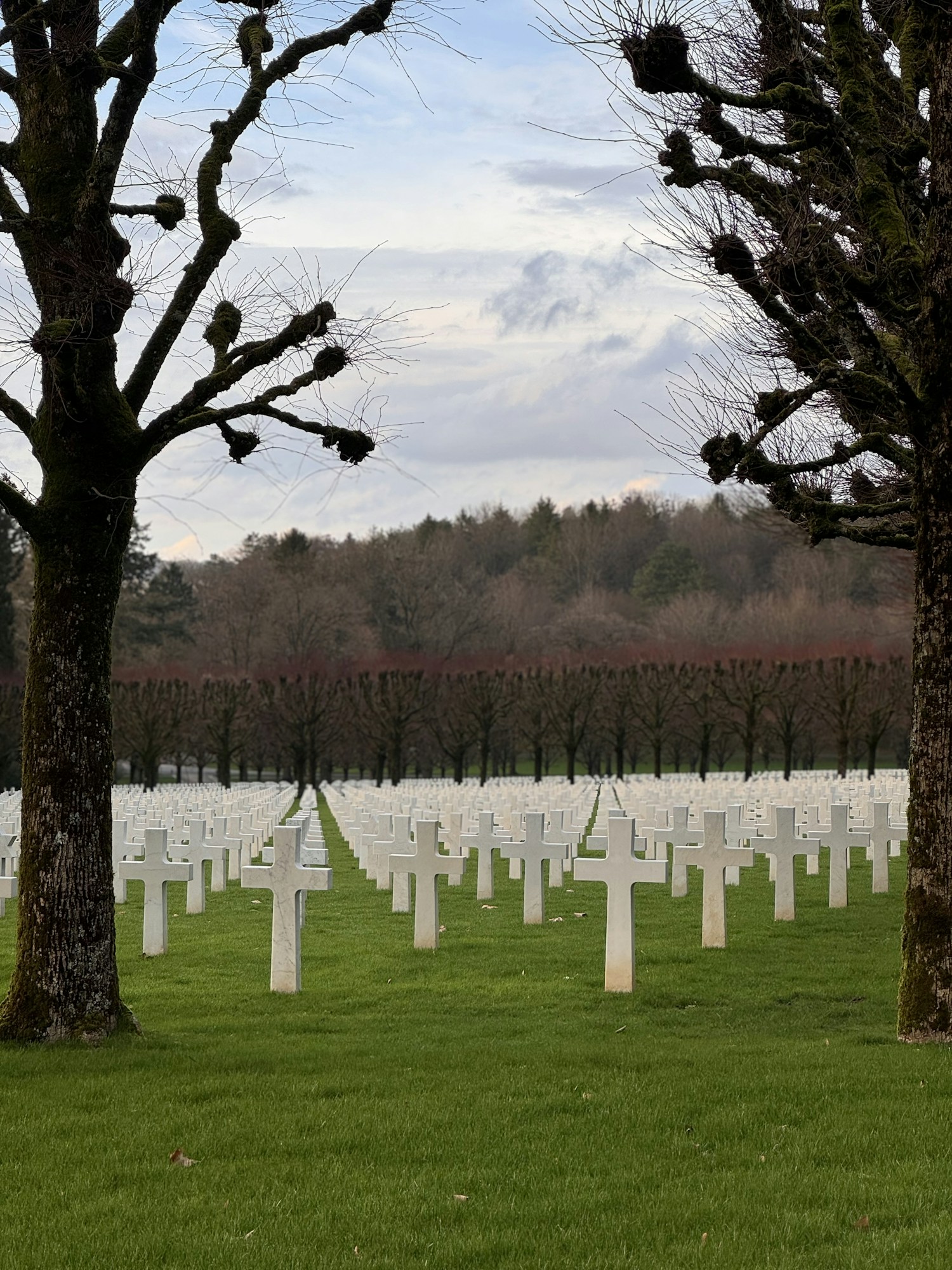 Diagnostic Services Image