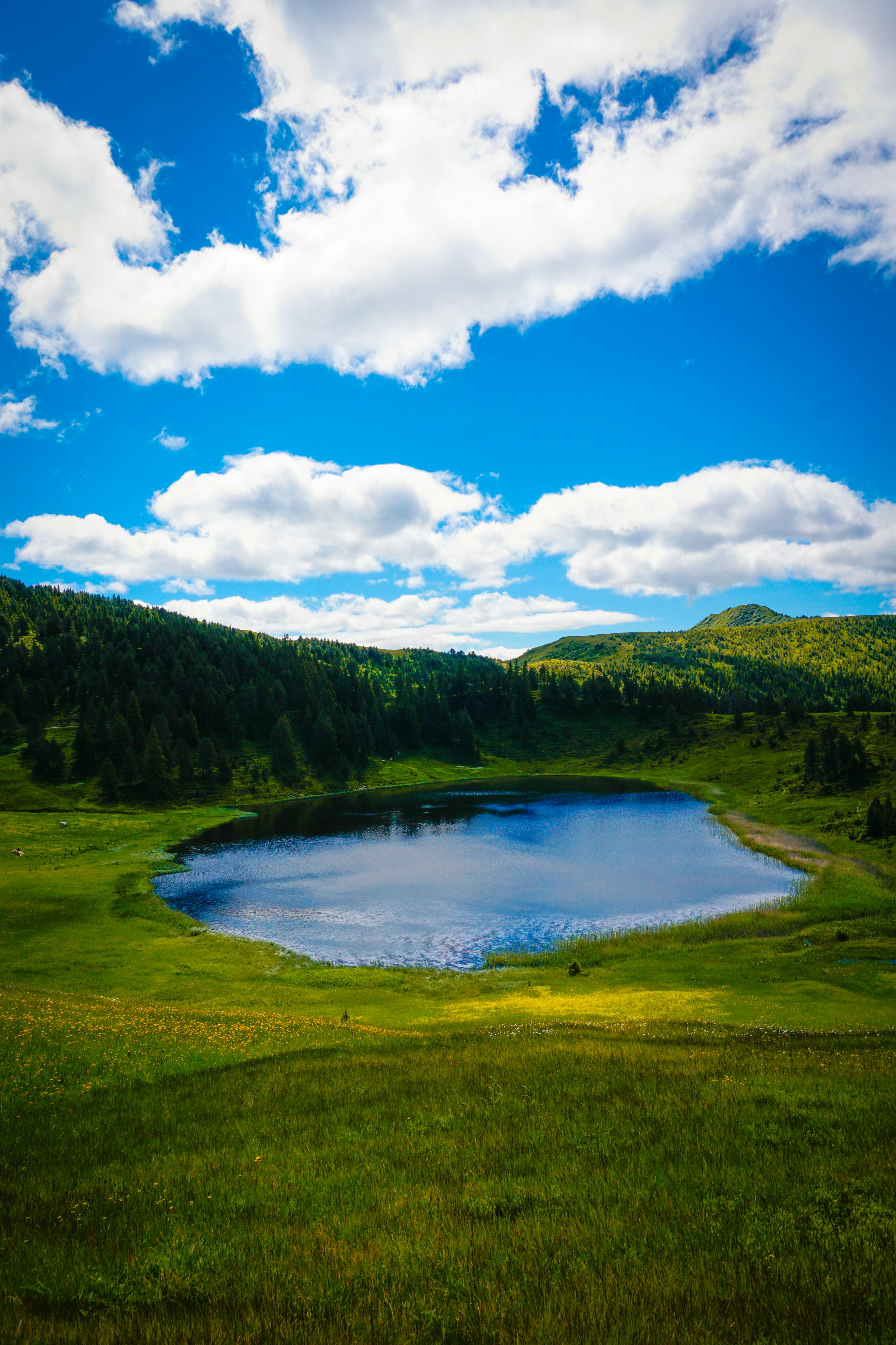 Ein kleiner See, umgeben von einer saftig grünen Wiese