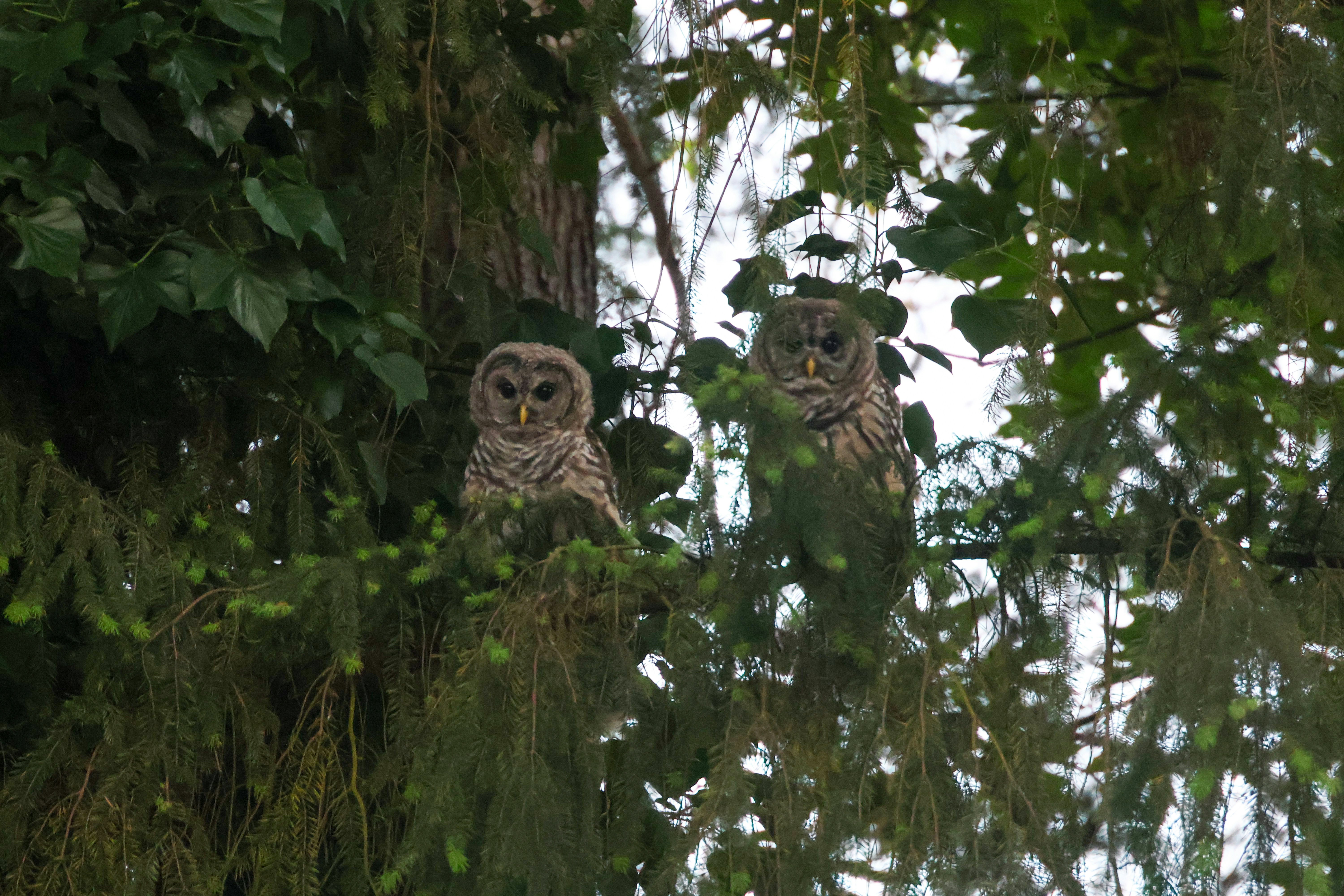 Photo by traveleroohlala