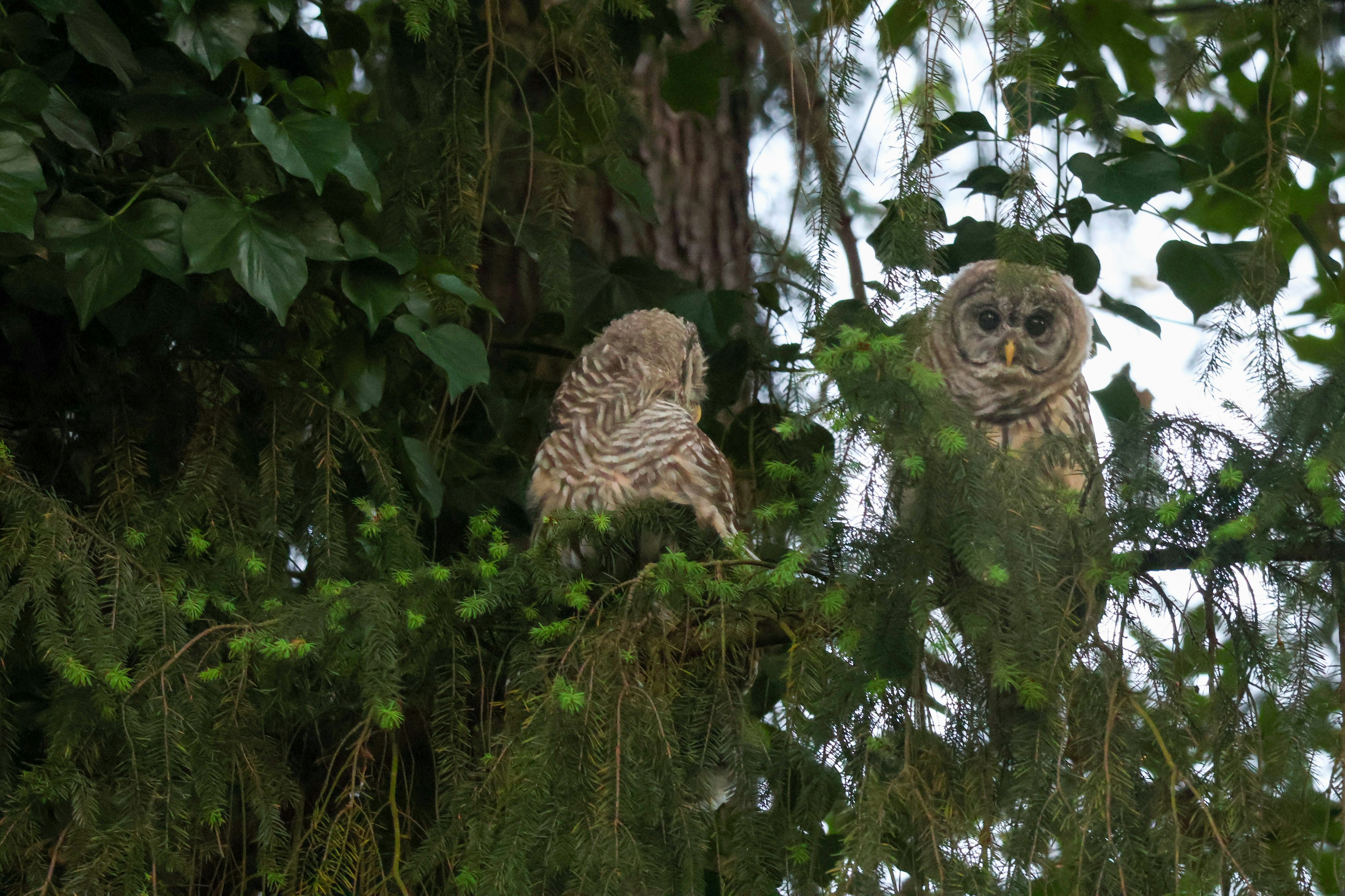 Photo by traveleroohlala