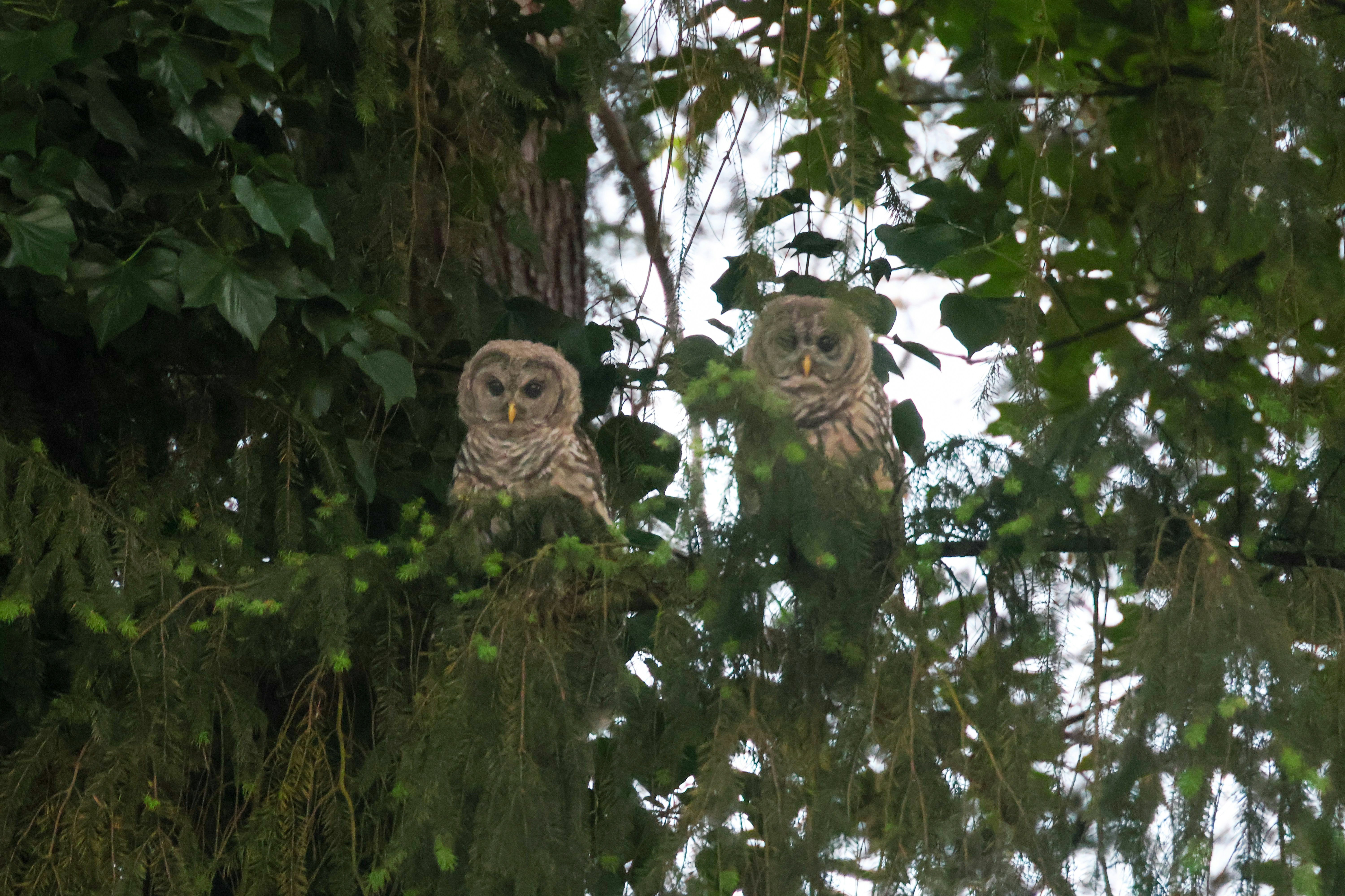 Photo by traveleroohlala