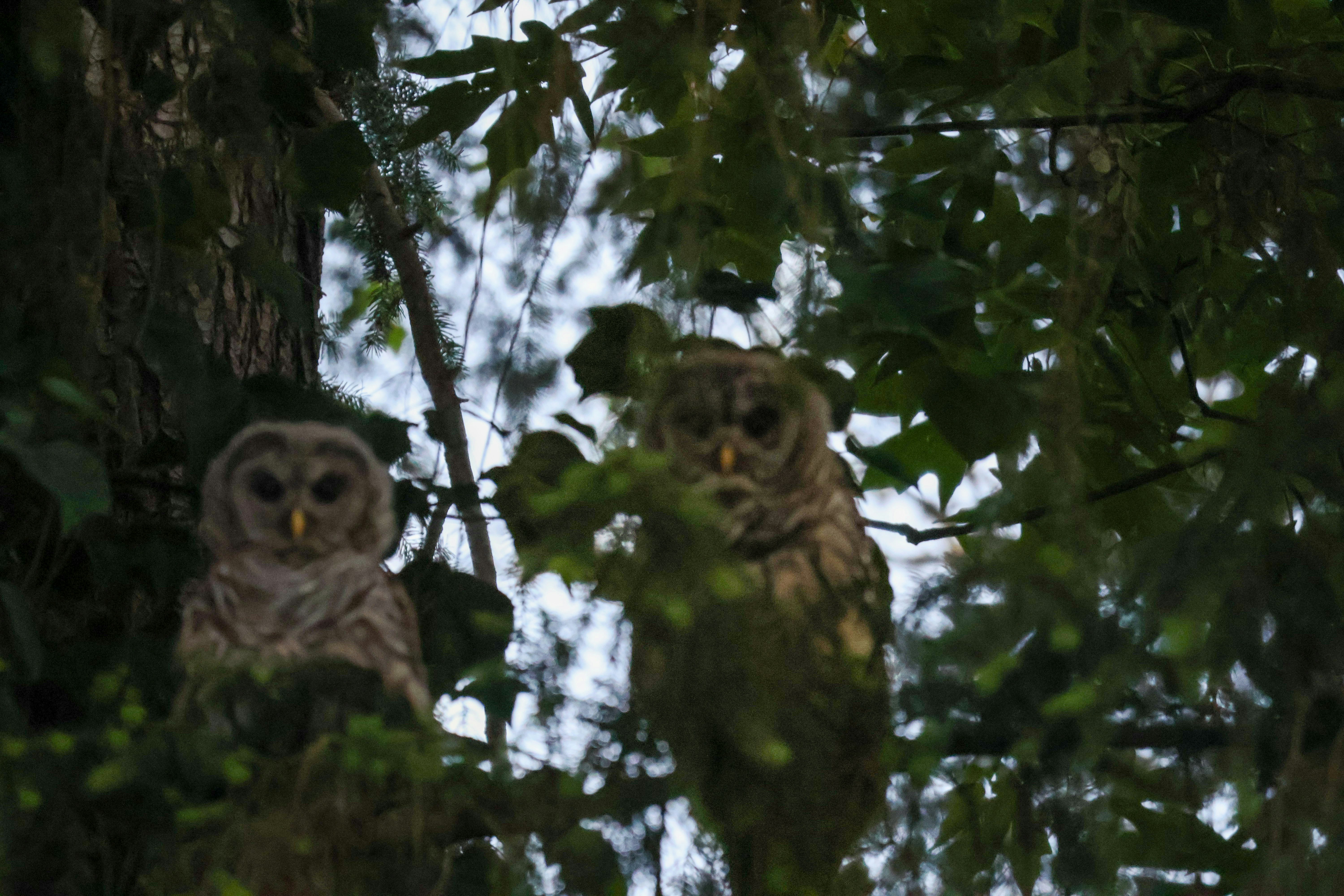 Photo by traveleroohlala