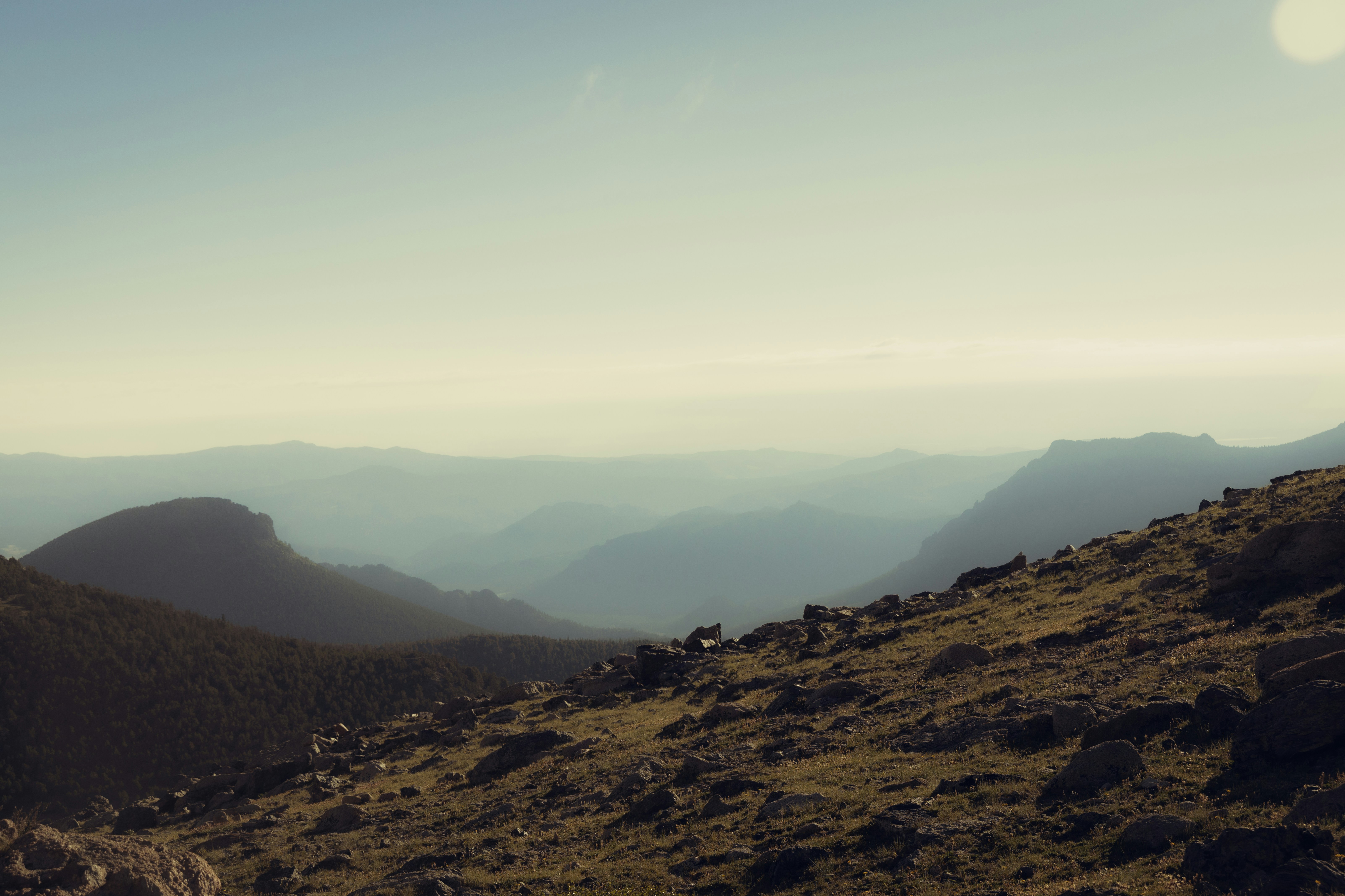 Photo by ldpeterson11