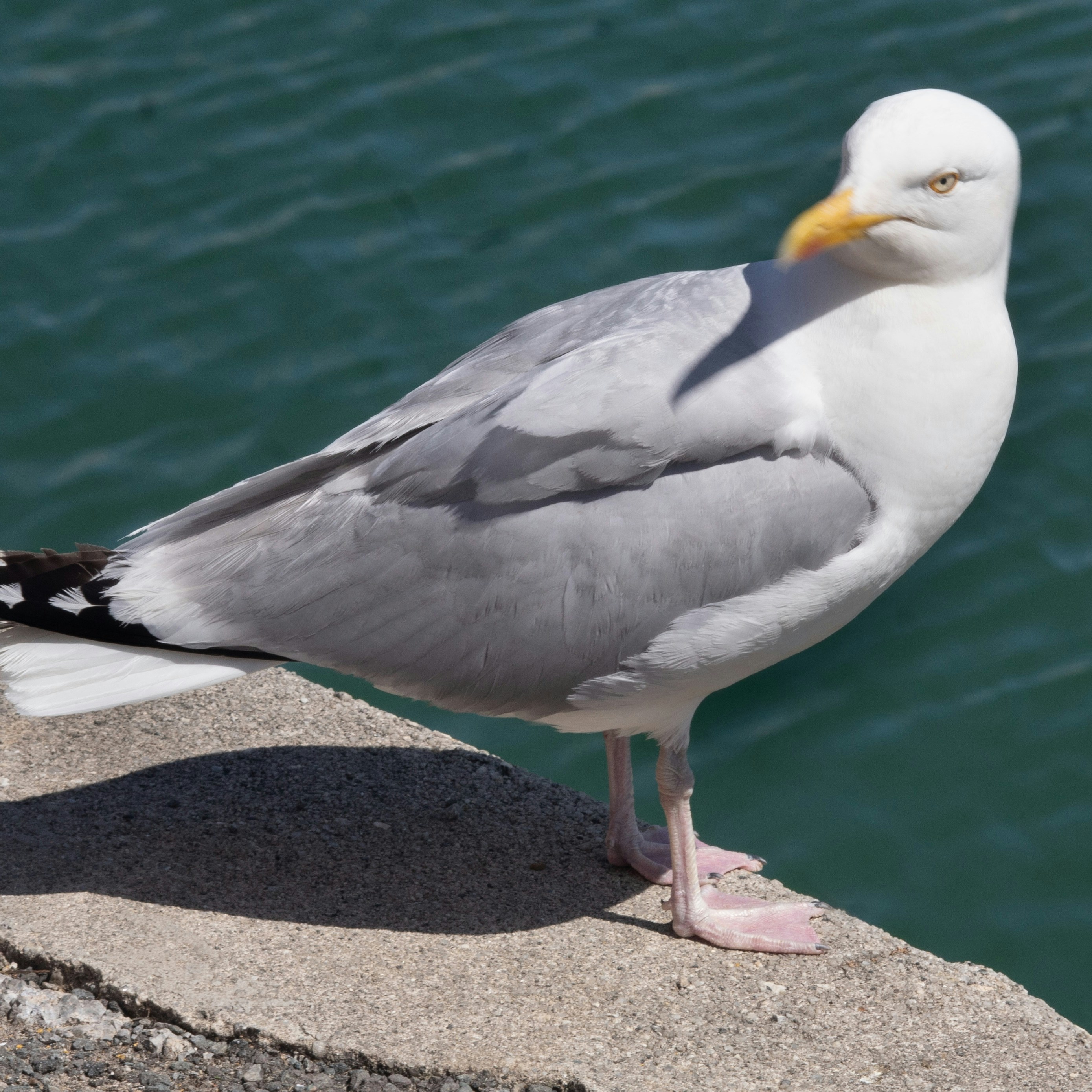 Photo by rspictorial