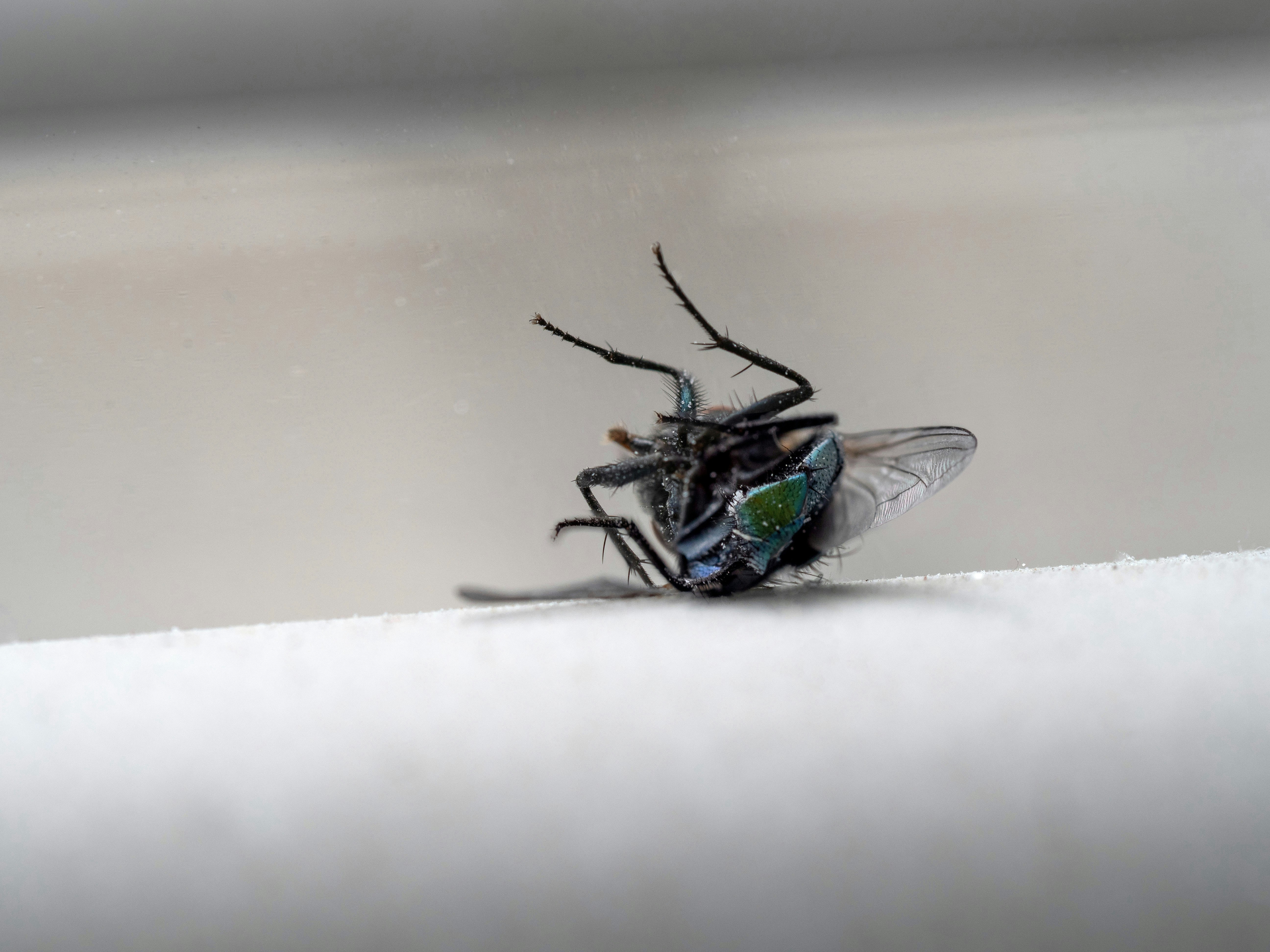 Photo by brett_jordan