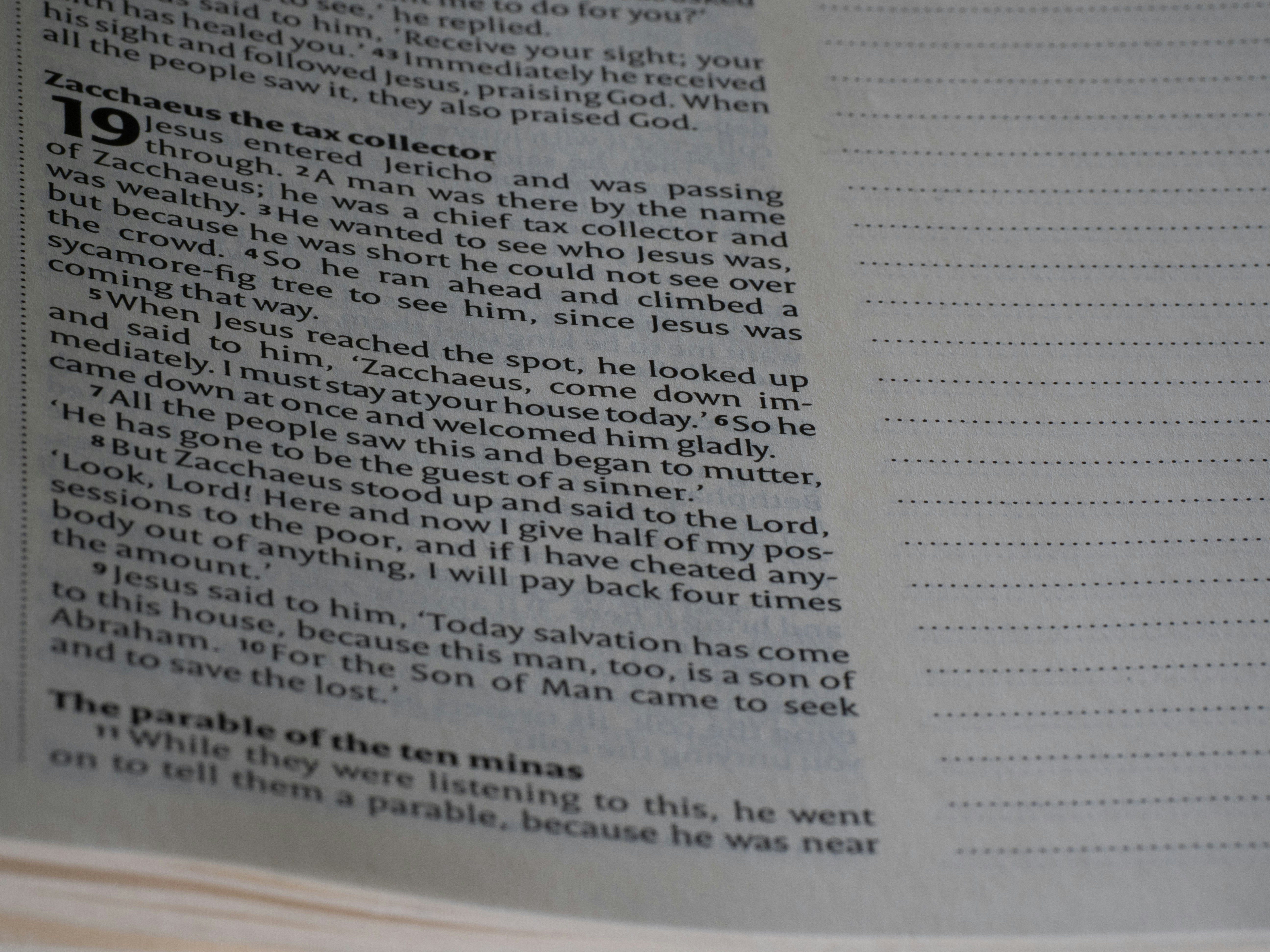 Photo by brett_jordan