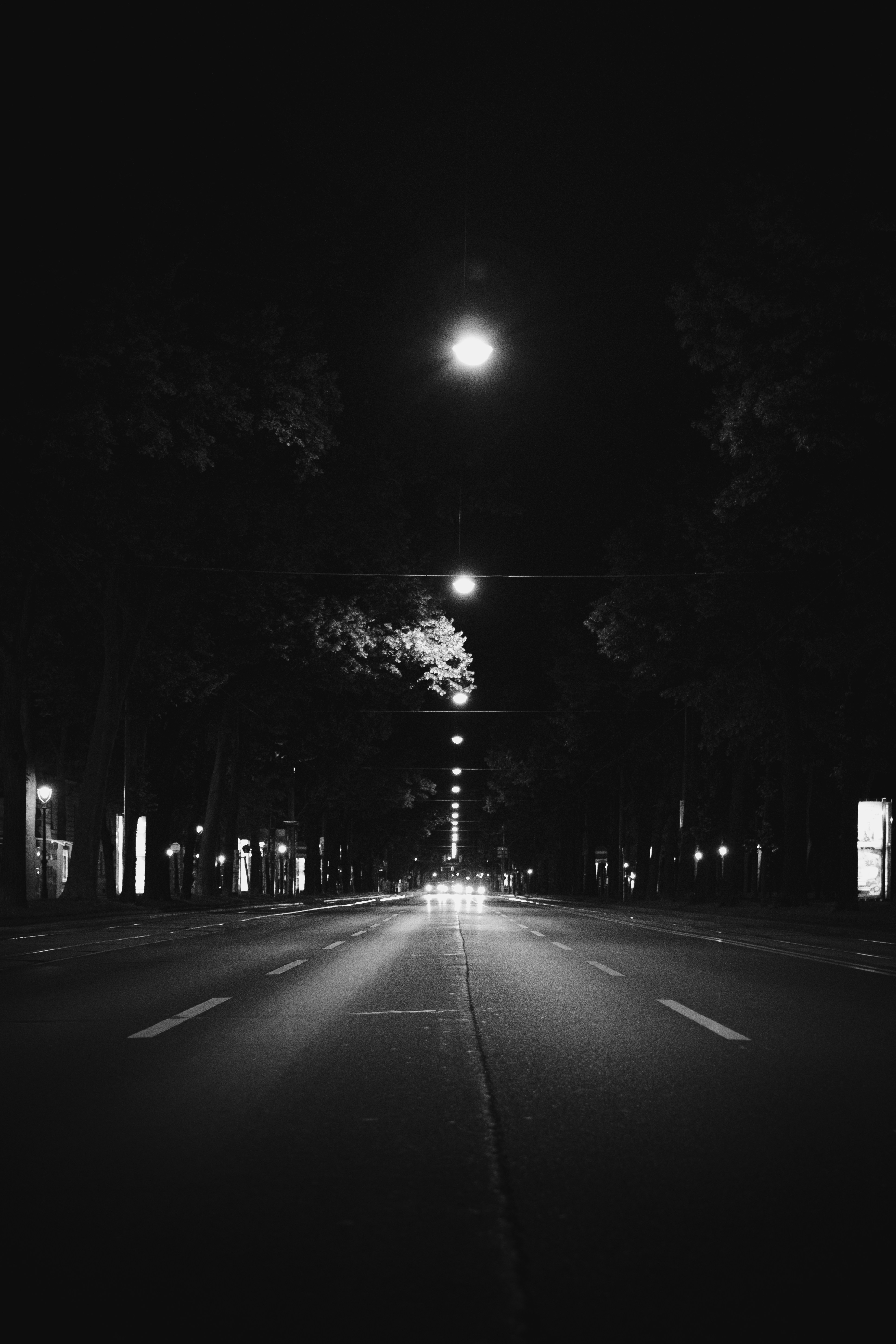 Photo by williammphoto