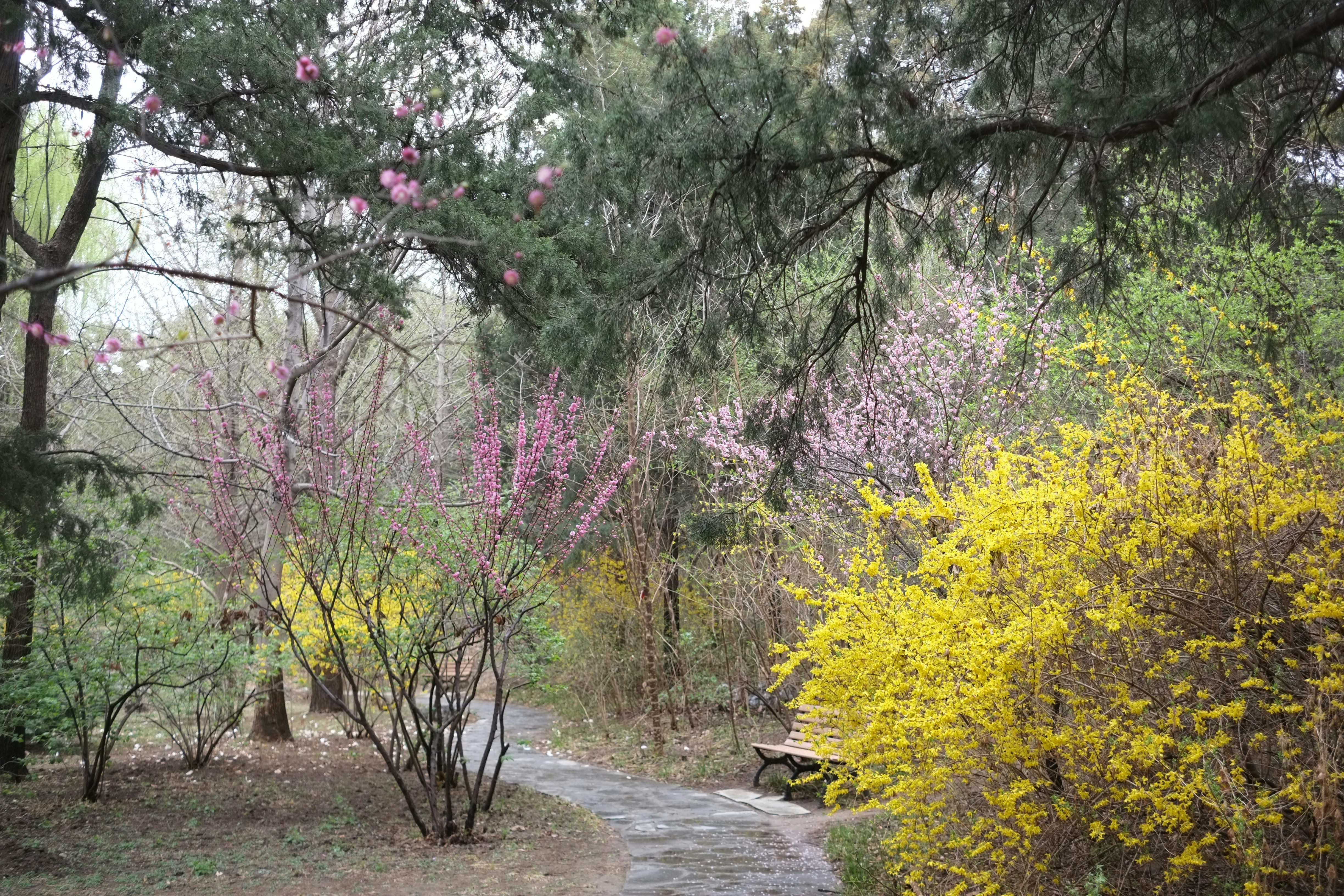 Image by MChe Lee via Unsplash