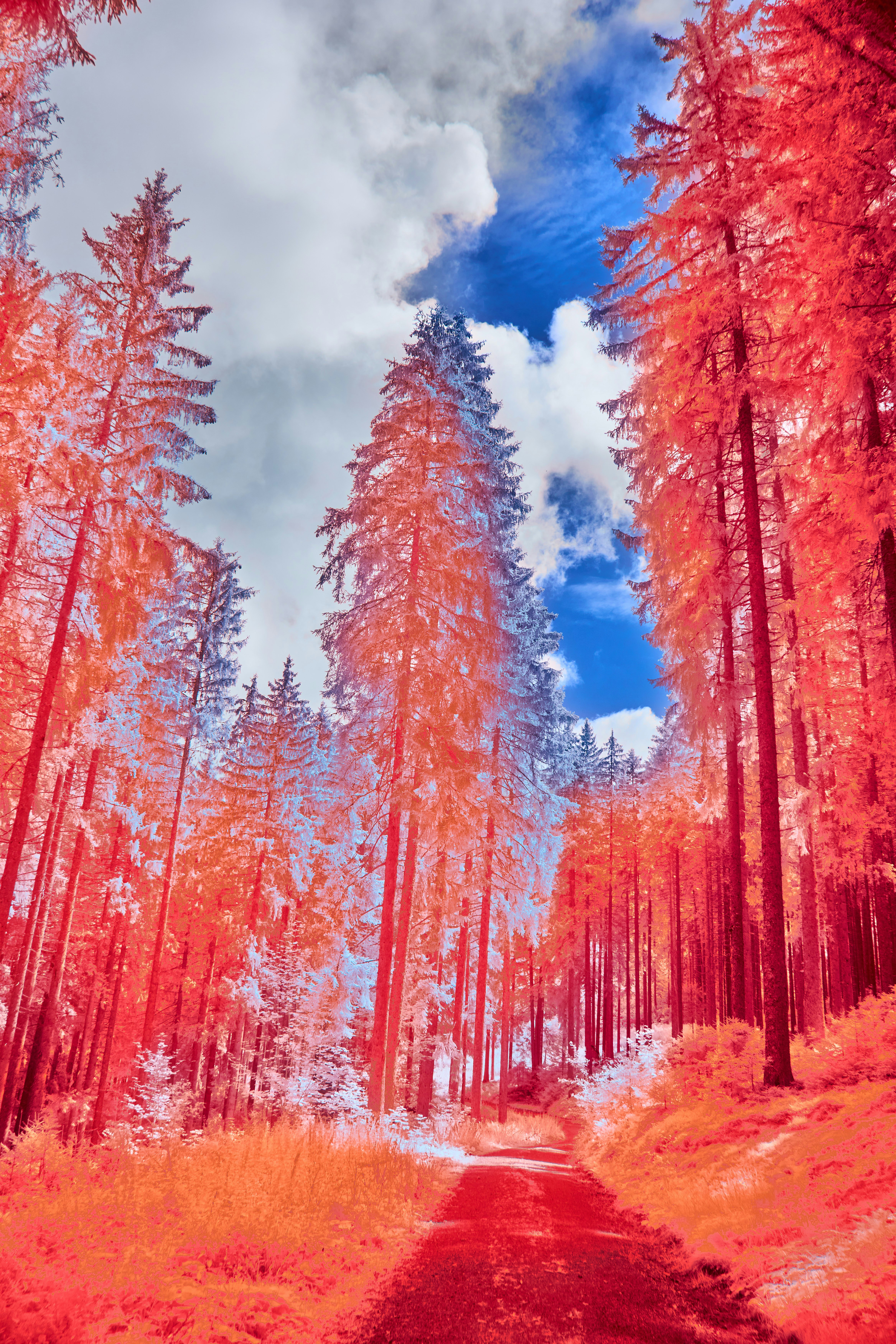 Photo by wolfgang_hasselmann