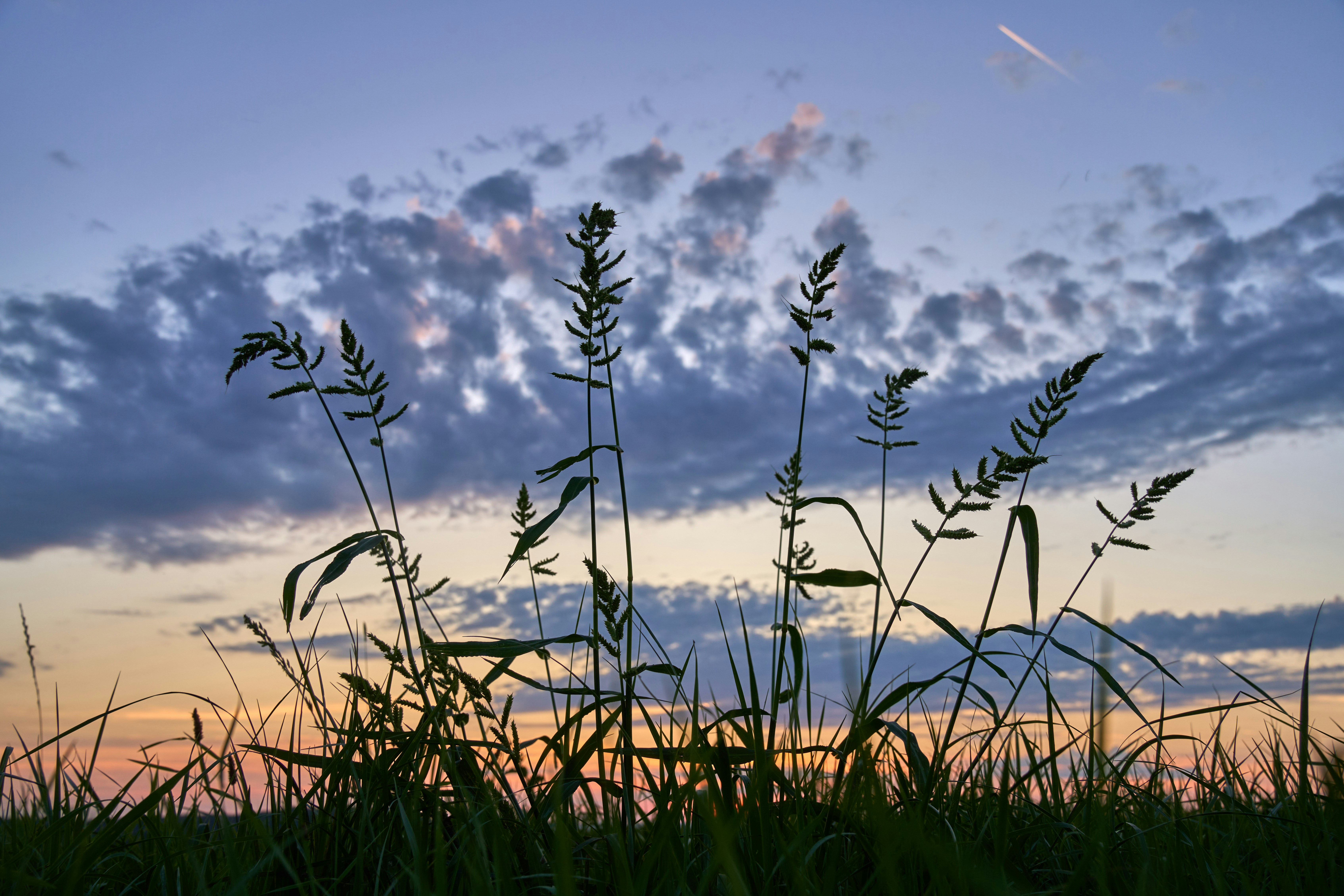 Photo by wolfgang_hasselmann