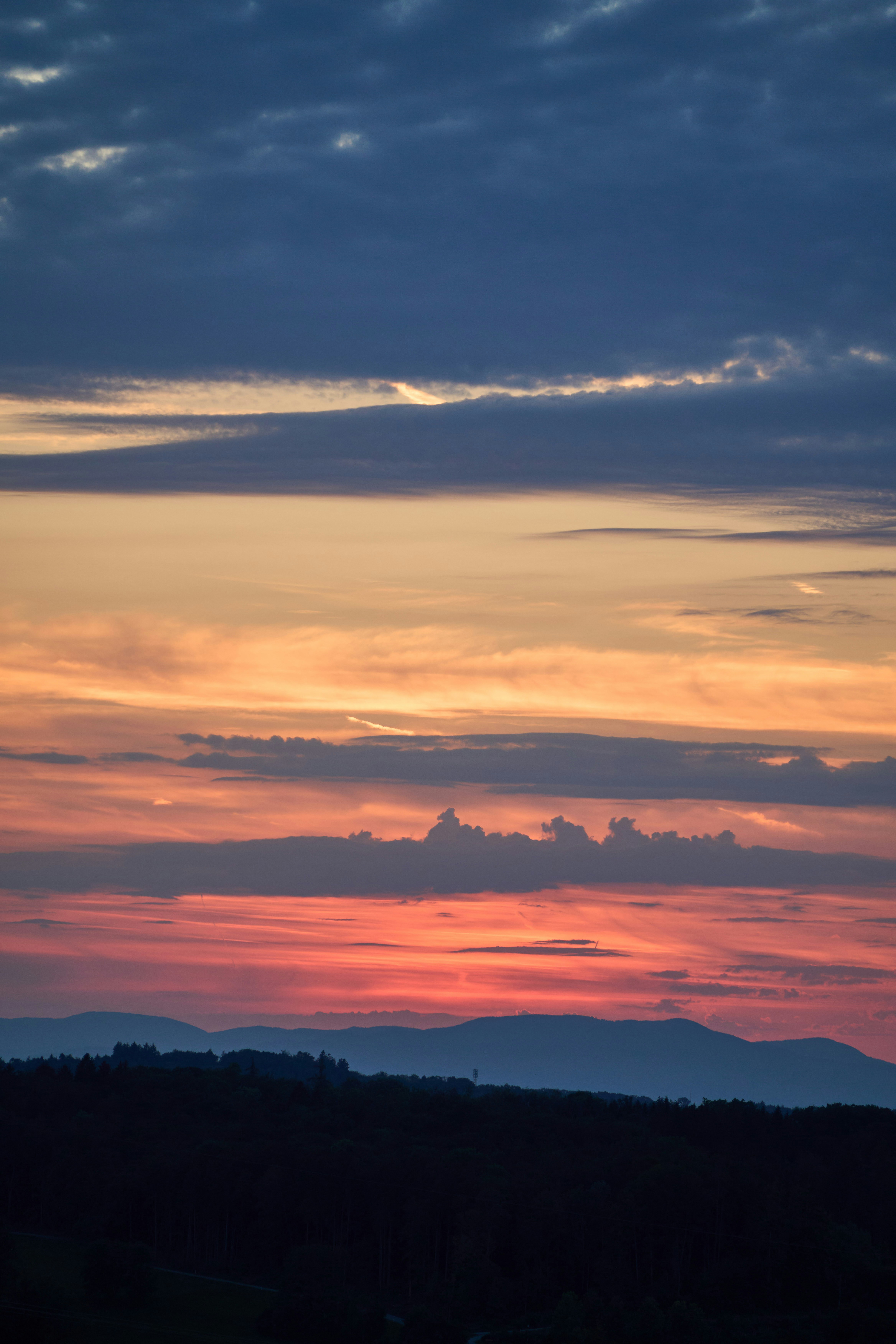 Photo by wolfgang_hasselmann