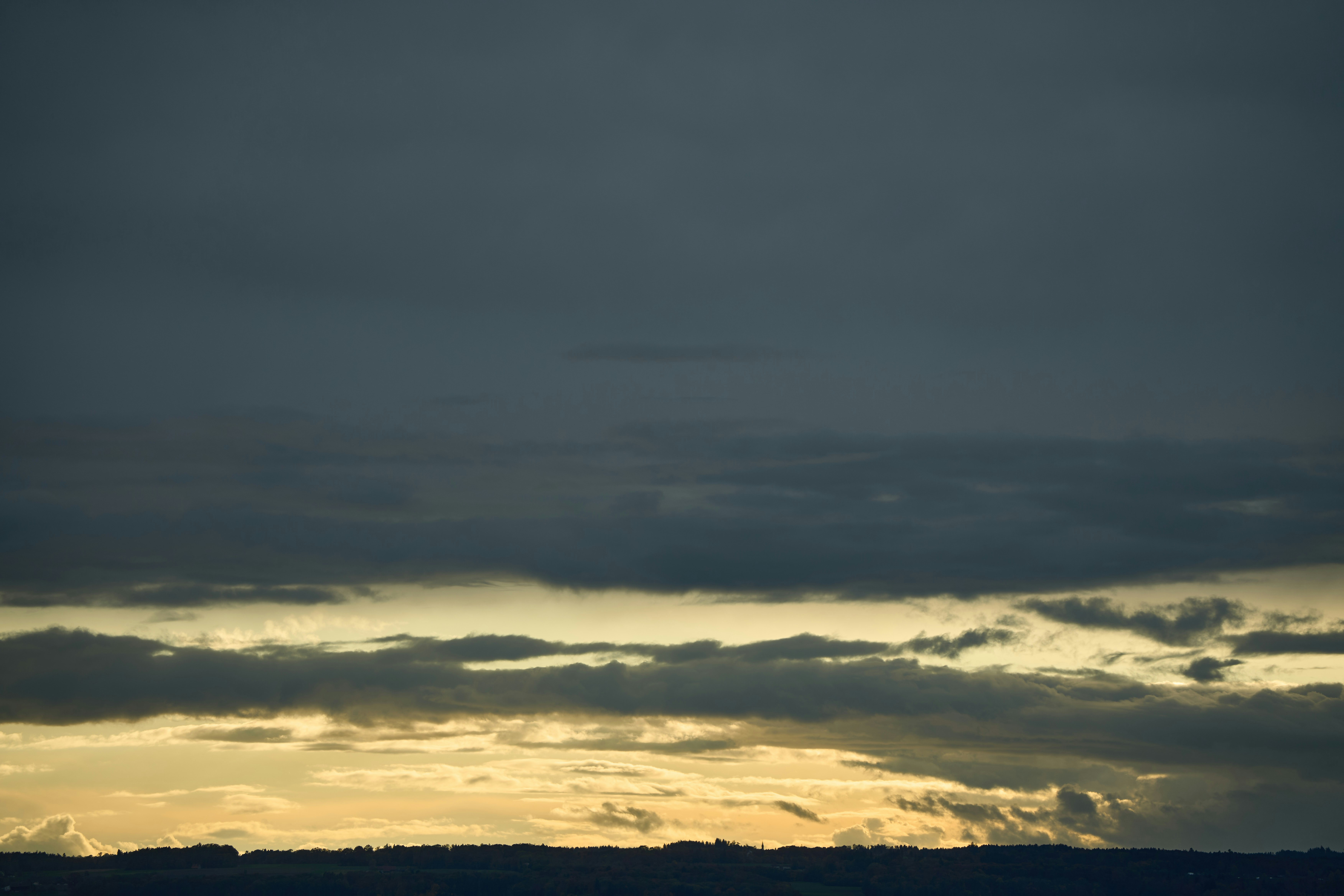 Photo by wolfgang_hasselmann