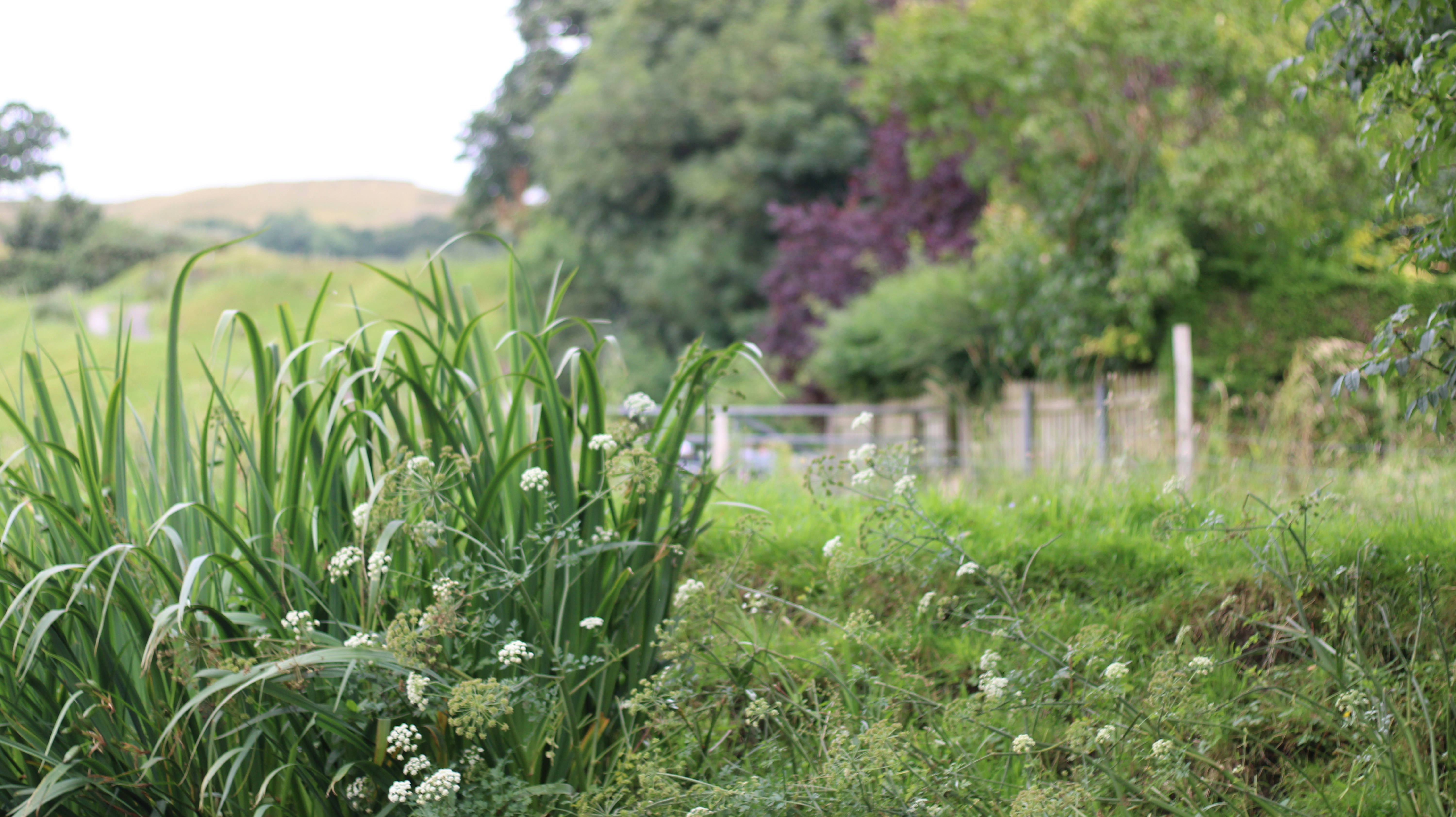 Photo of Skipton