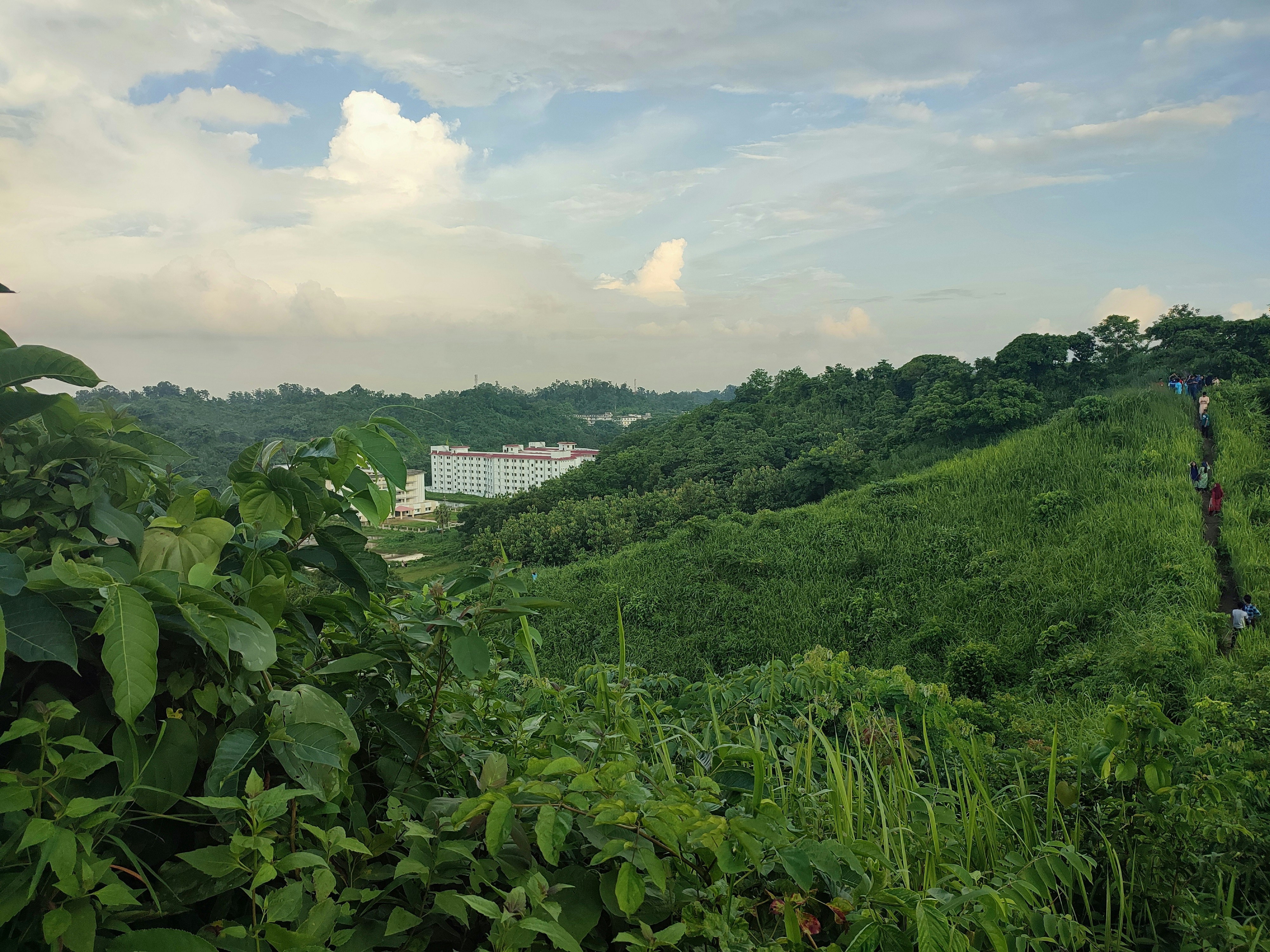 A lush green hillside with a lake in the distance