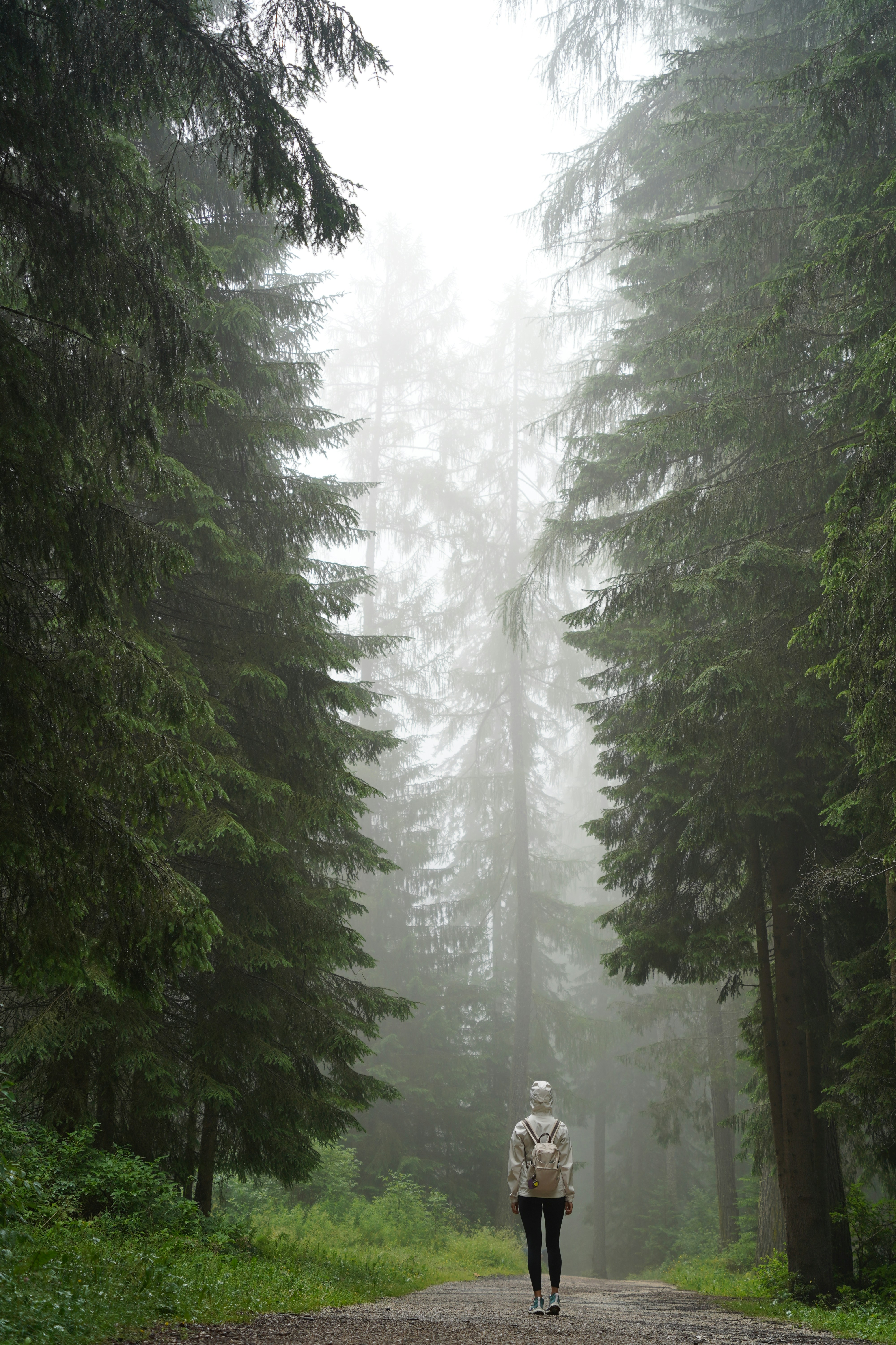 Photo by shpetimujkani