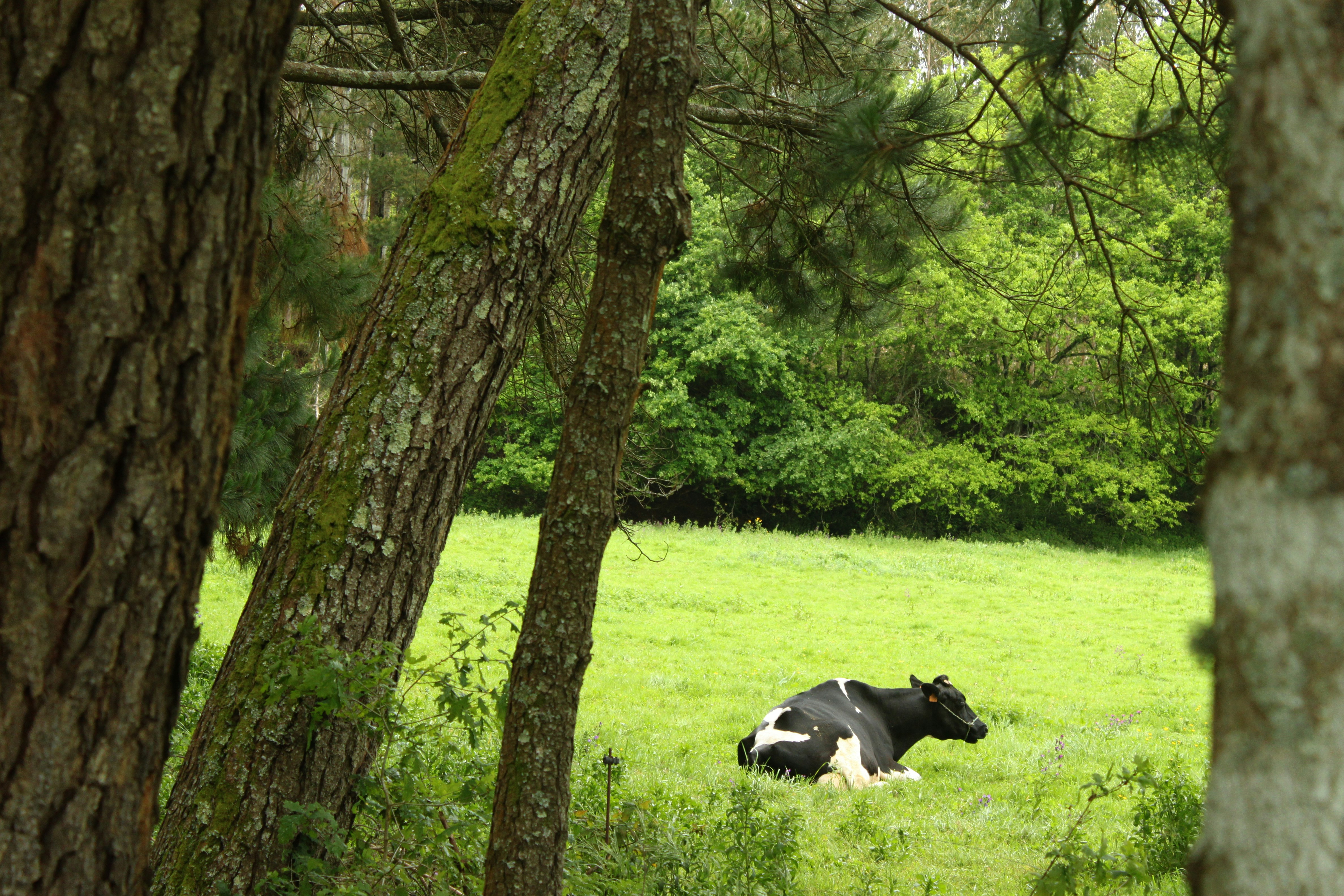 When to Worry About Excessive Drooling