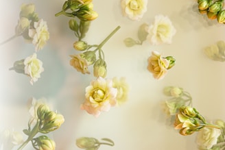A bunch of flowers that are on a wall