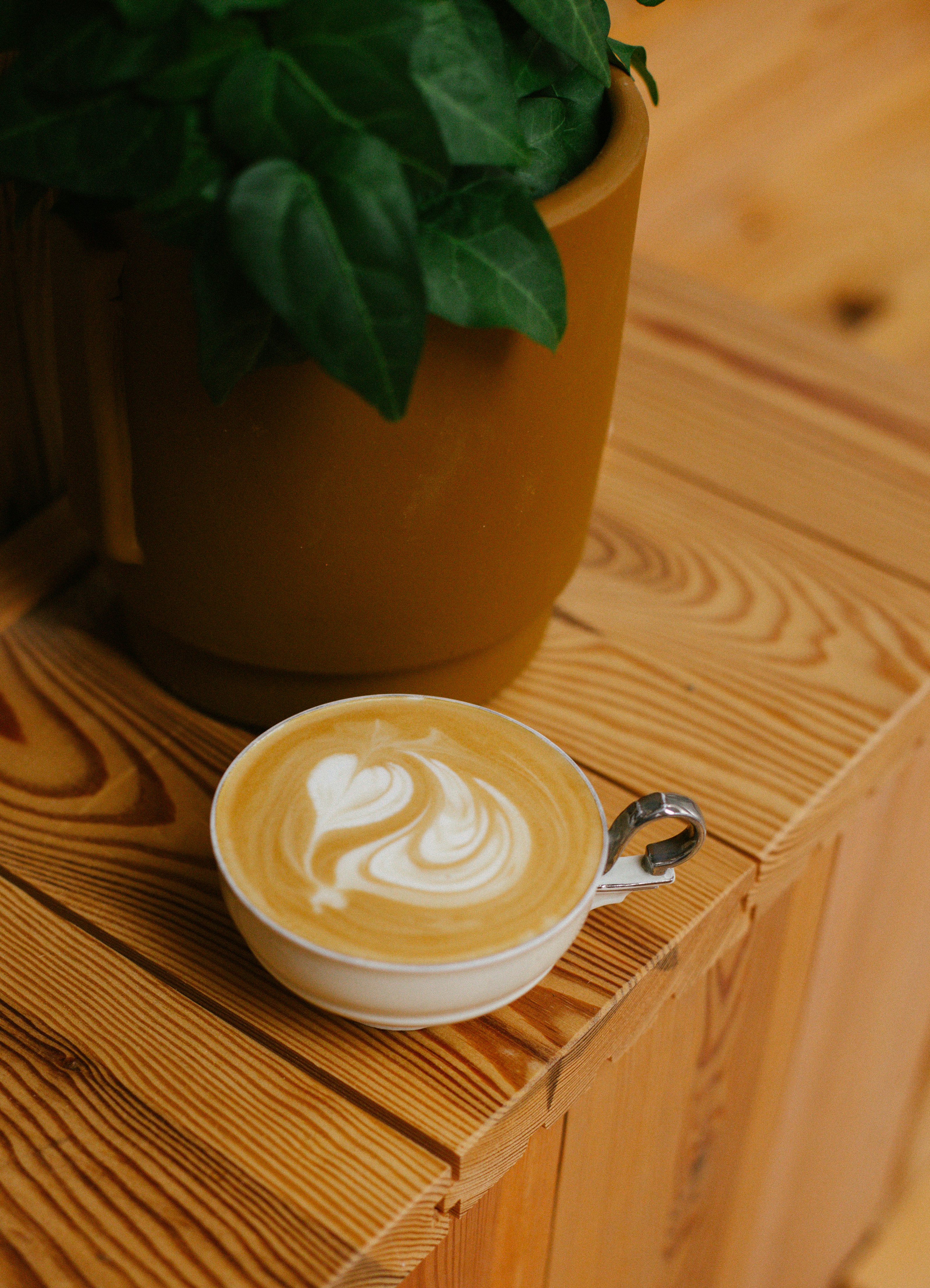 Photo by raymondpetrik