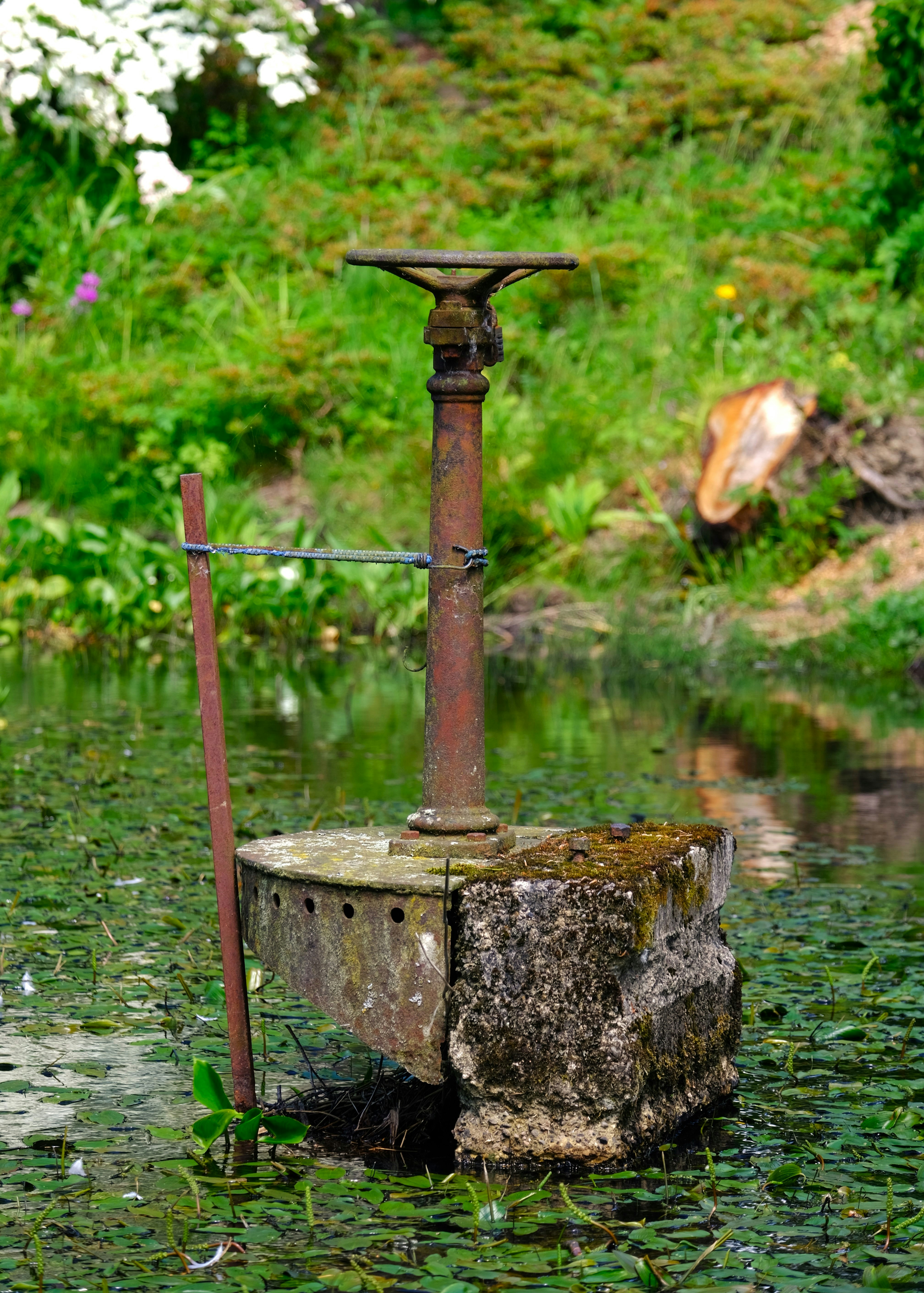 Illustration d'un purificateur d'eau moderne