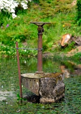 A well in the middle of a pond filled with water