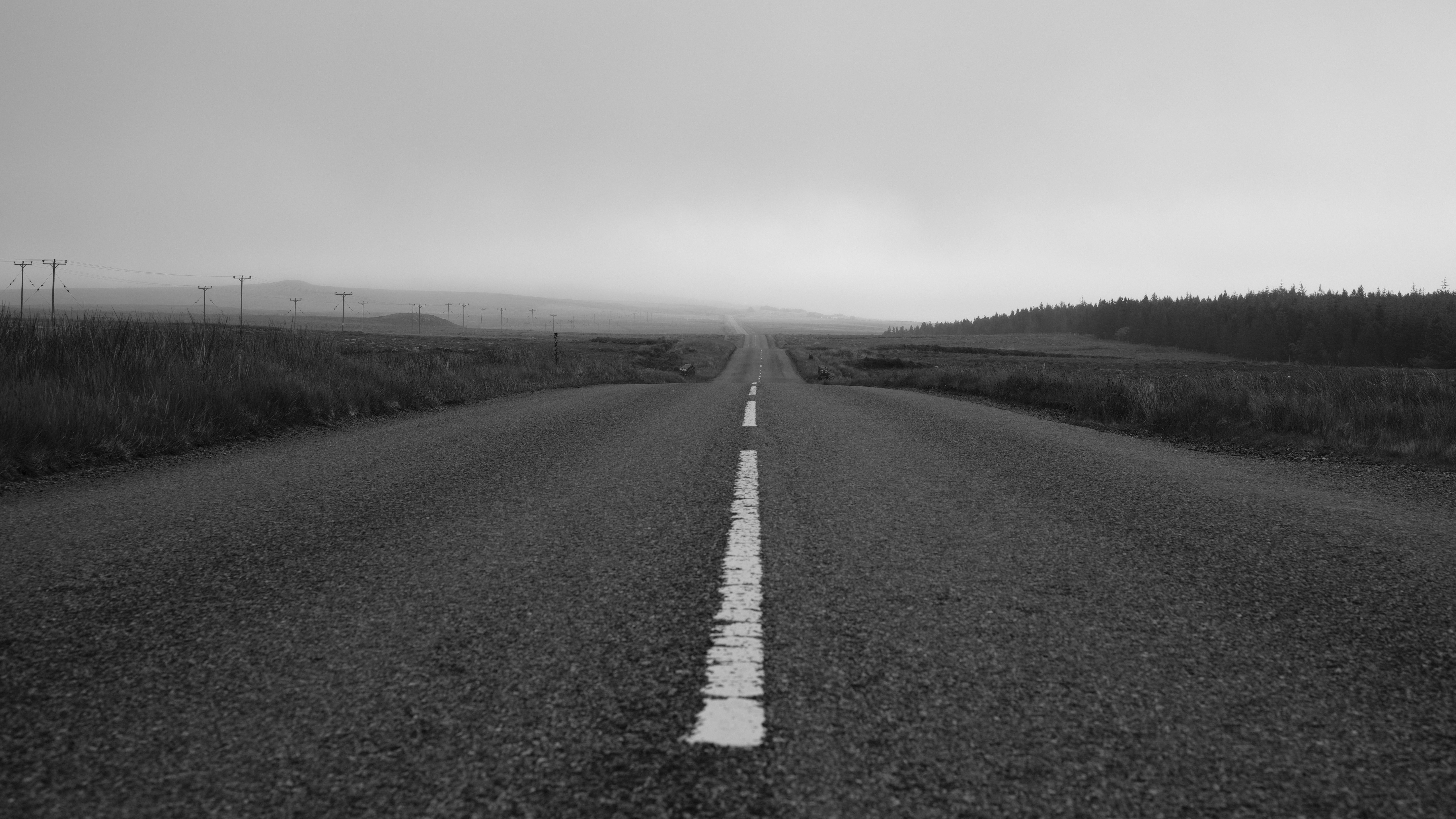 Photo by rory_tucker_photography