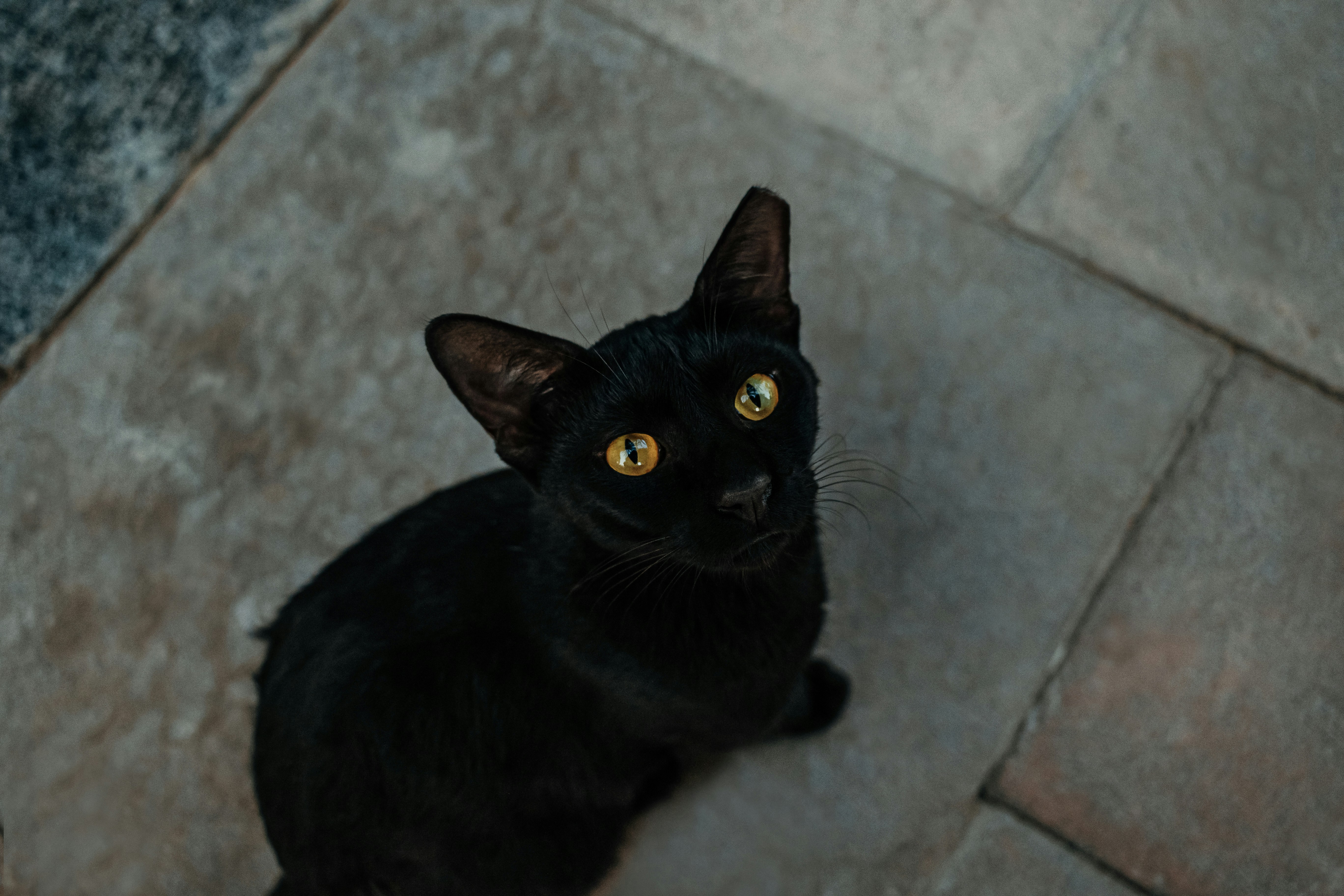 They Model Self-Care (image credits: unsplash)