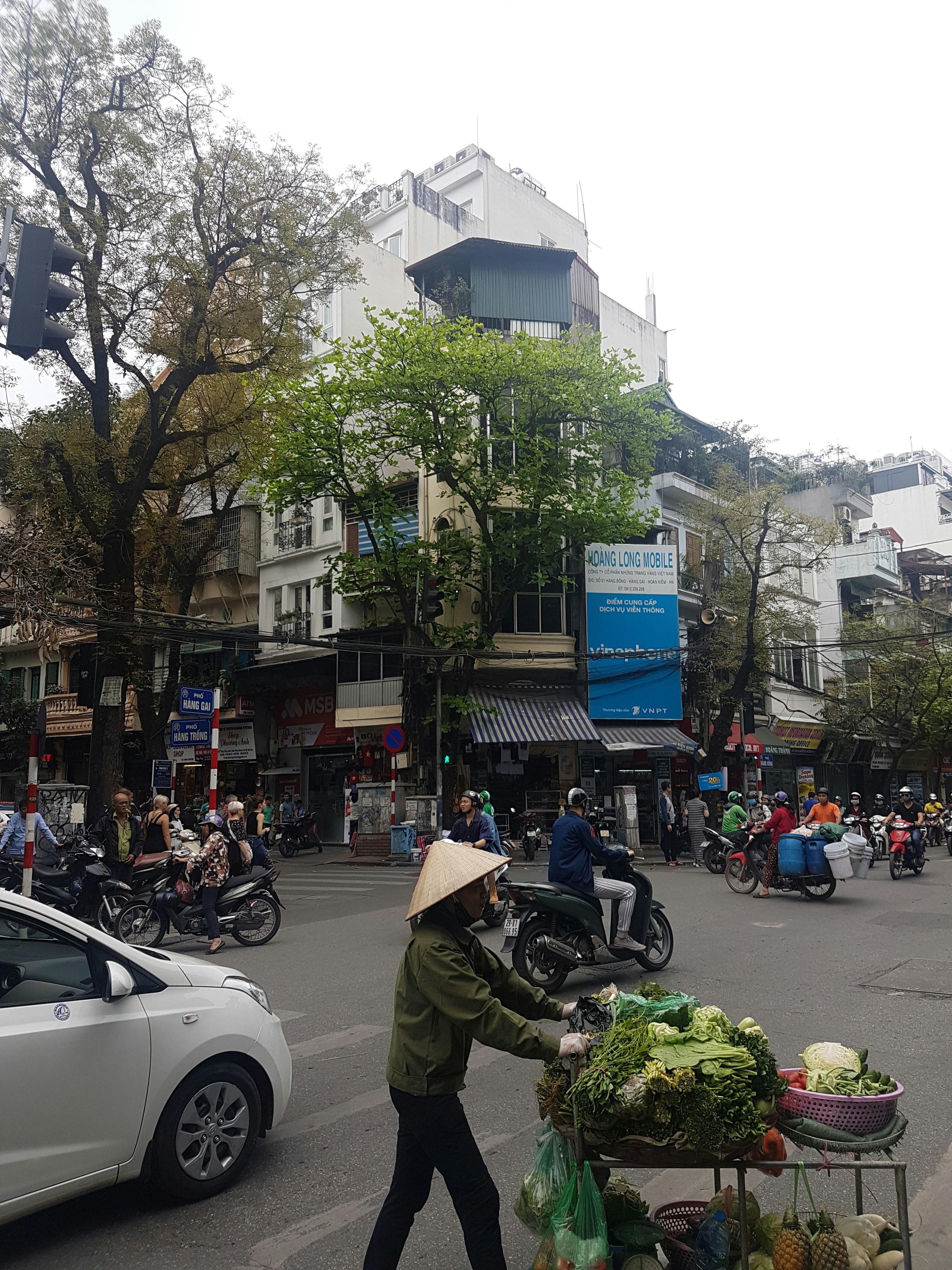 A person pushing a cart full of vegetables down a street