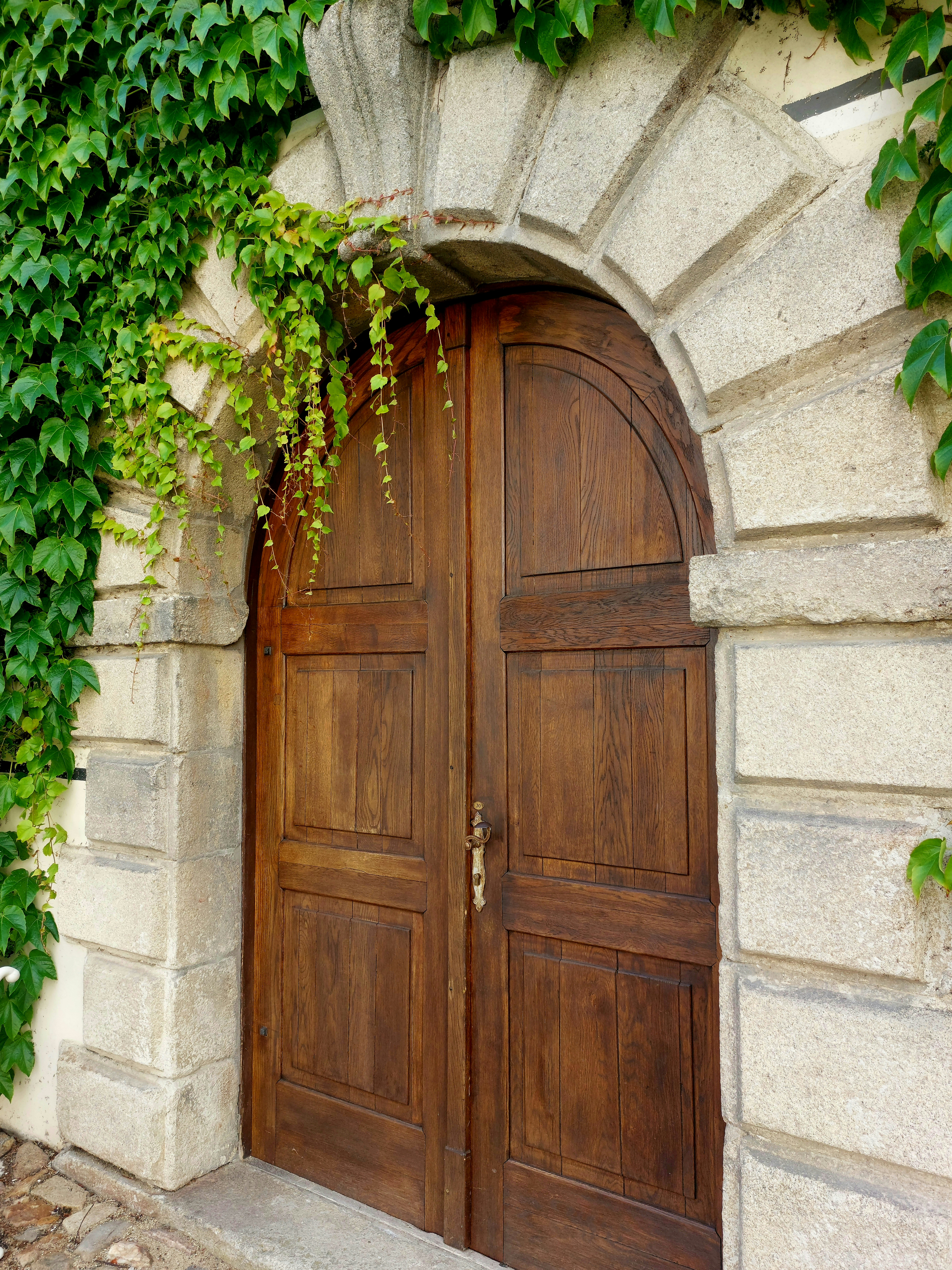 Photo by purple_iris