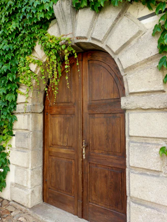 A wooden door with vines growing over it