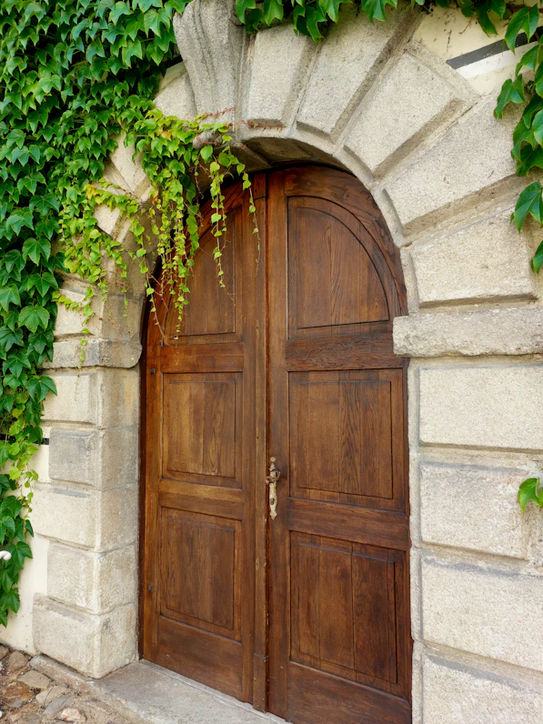 A wooden door with vines growing over it