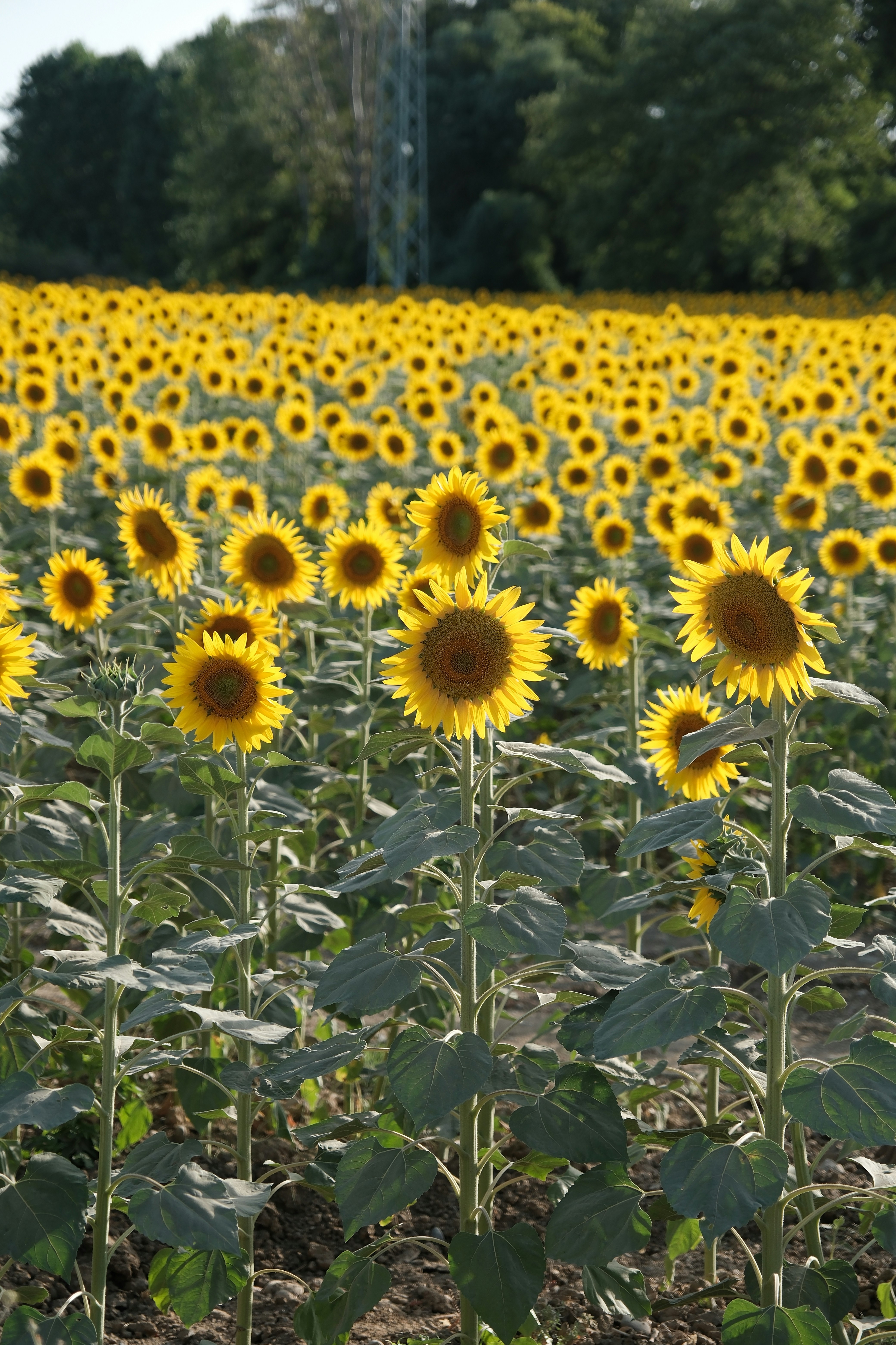 Photo by alperenbozkurtfilm