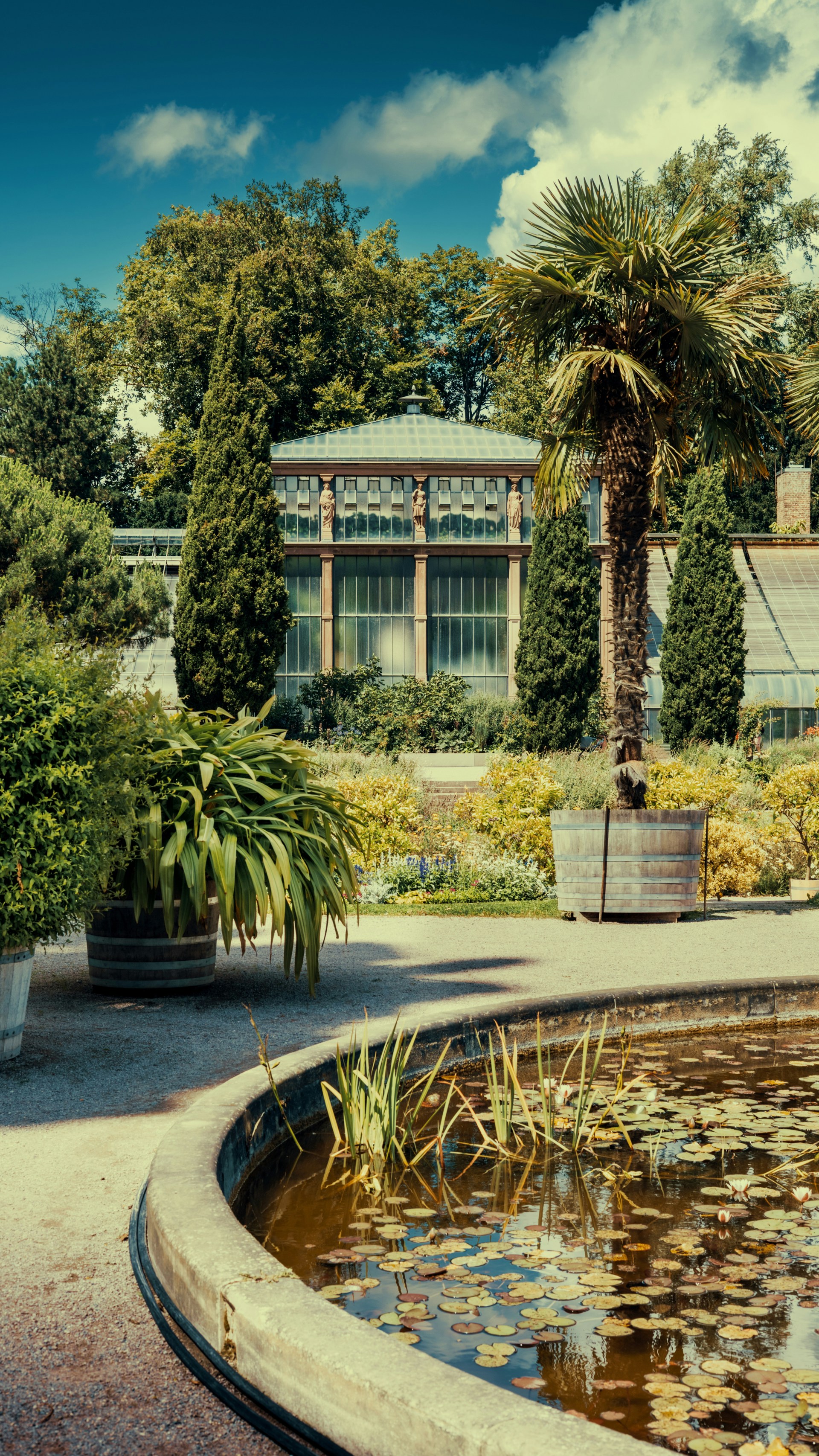 A pond in front of a building with a palm tree