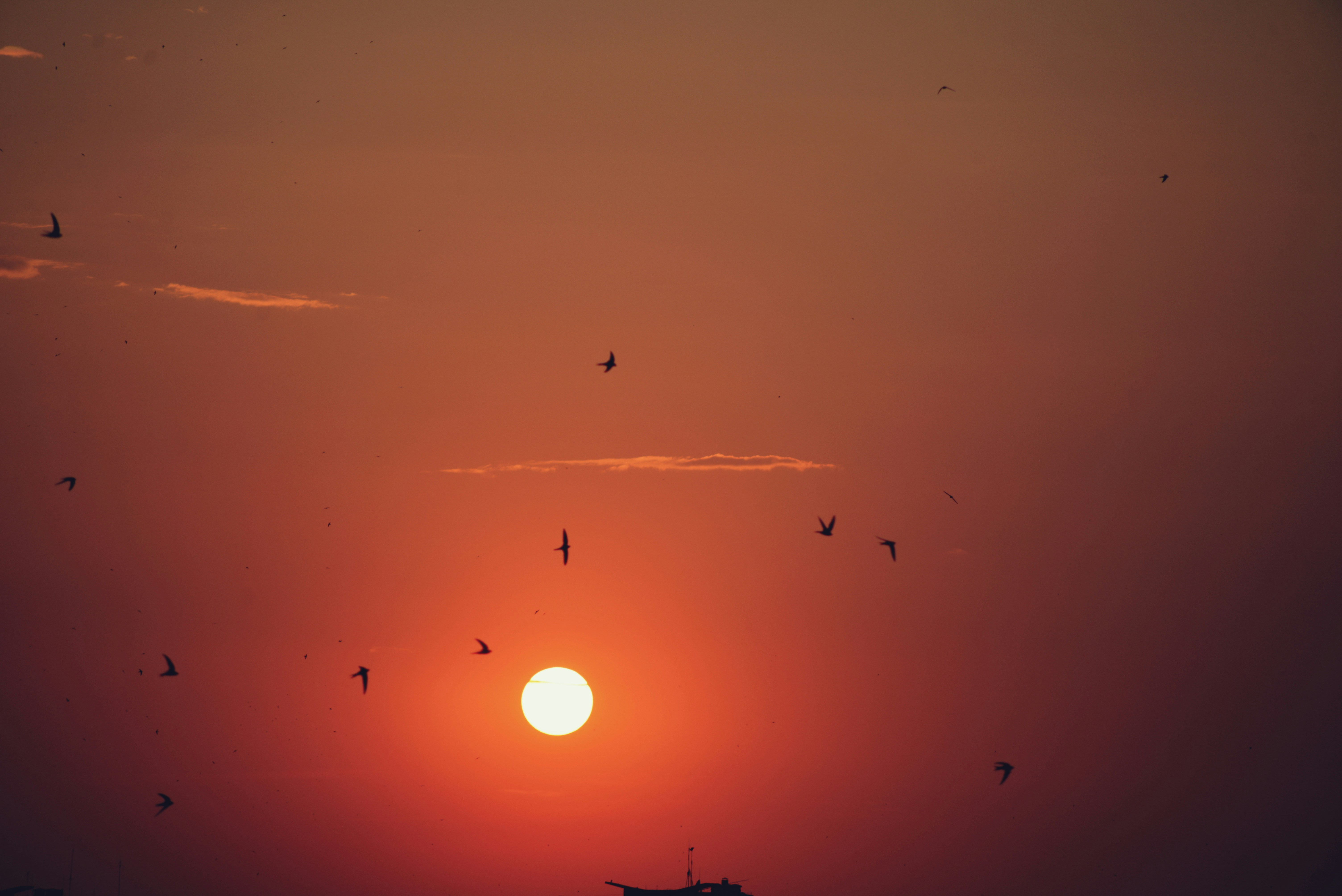 Photo by cherstve_pechivo