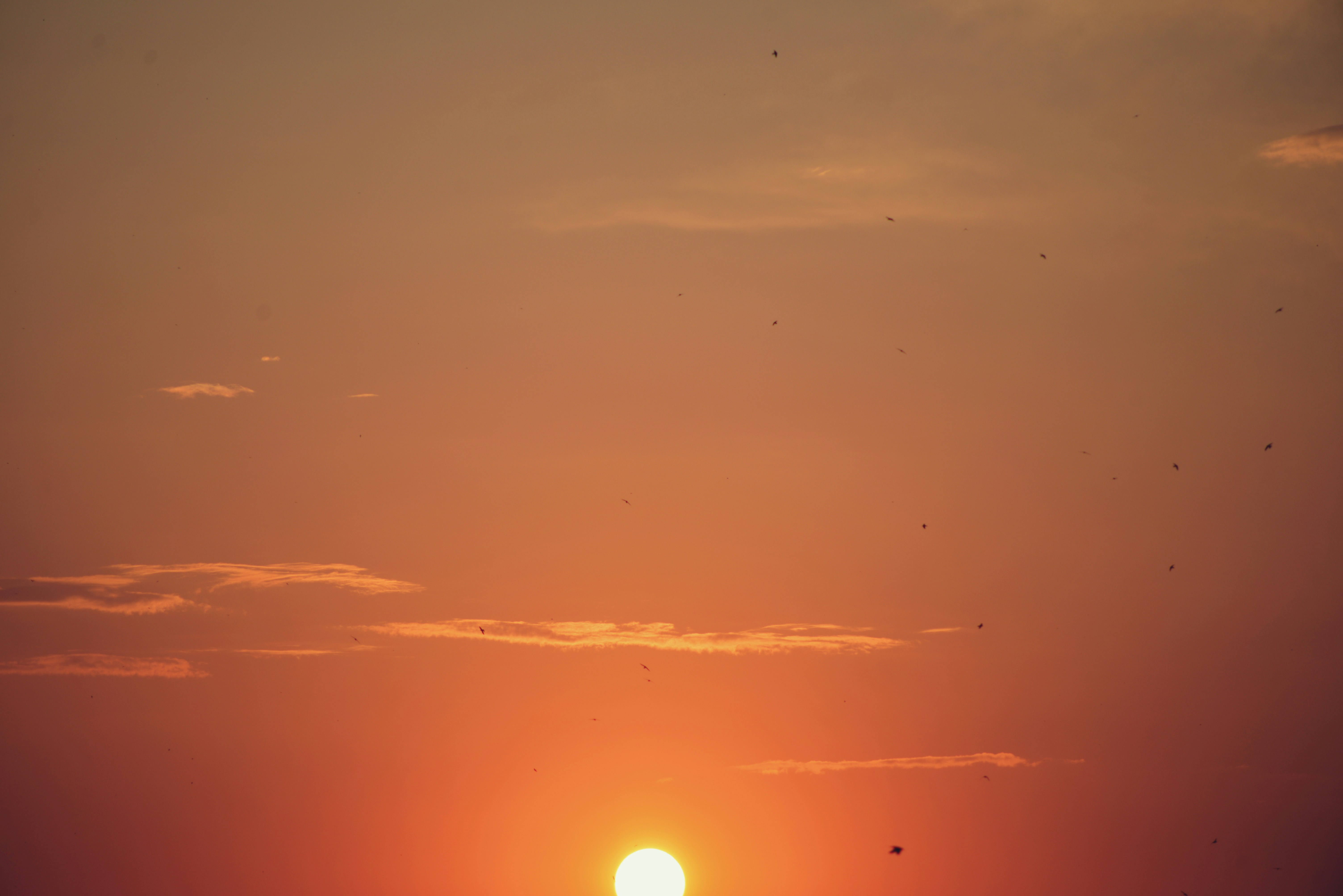 The sun is setting on the horizon of the ocean