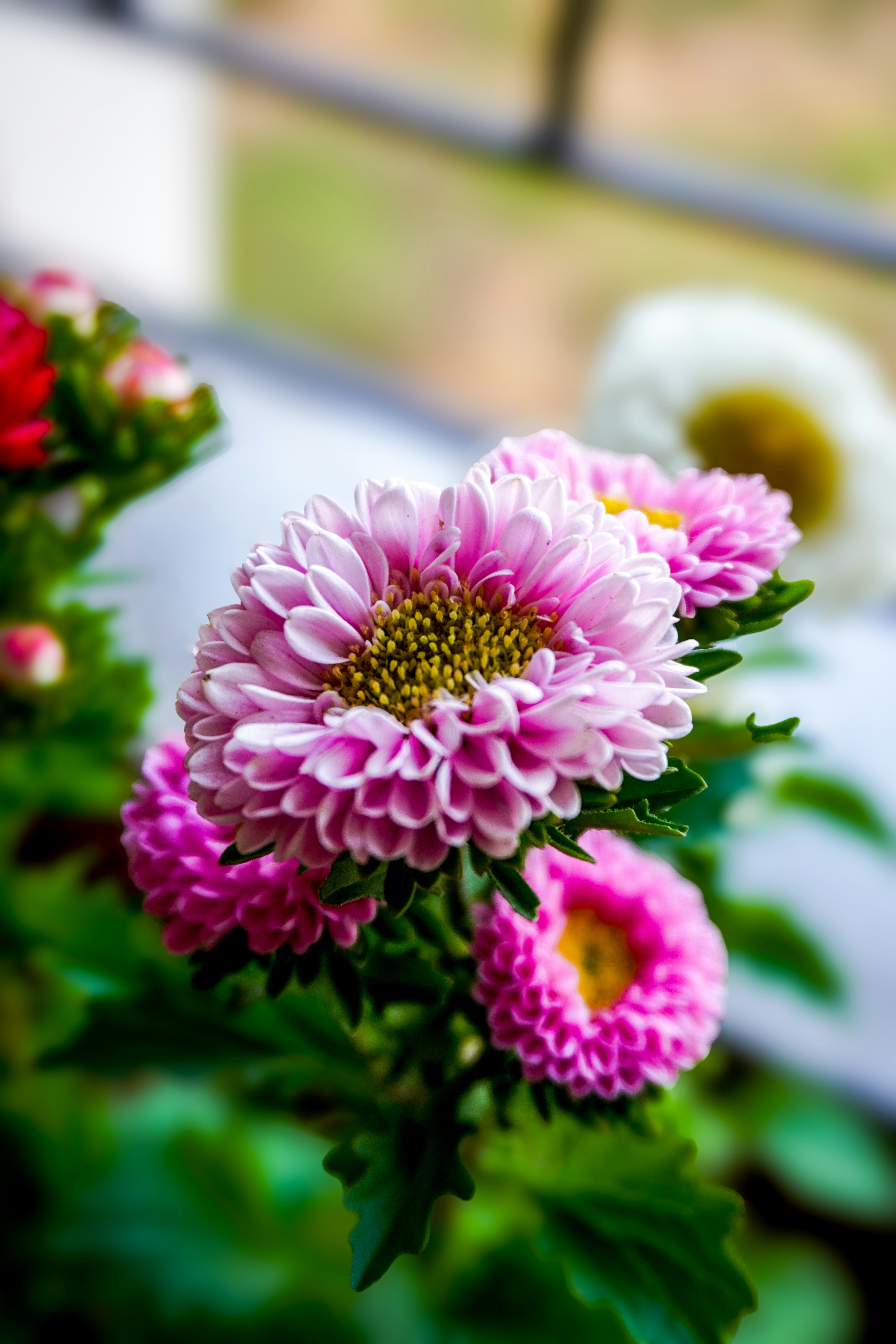 Photo by pparimita19