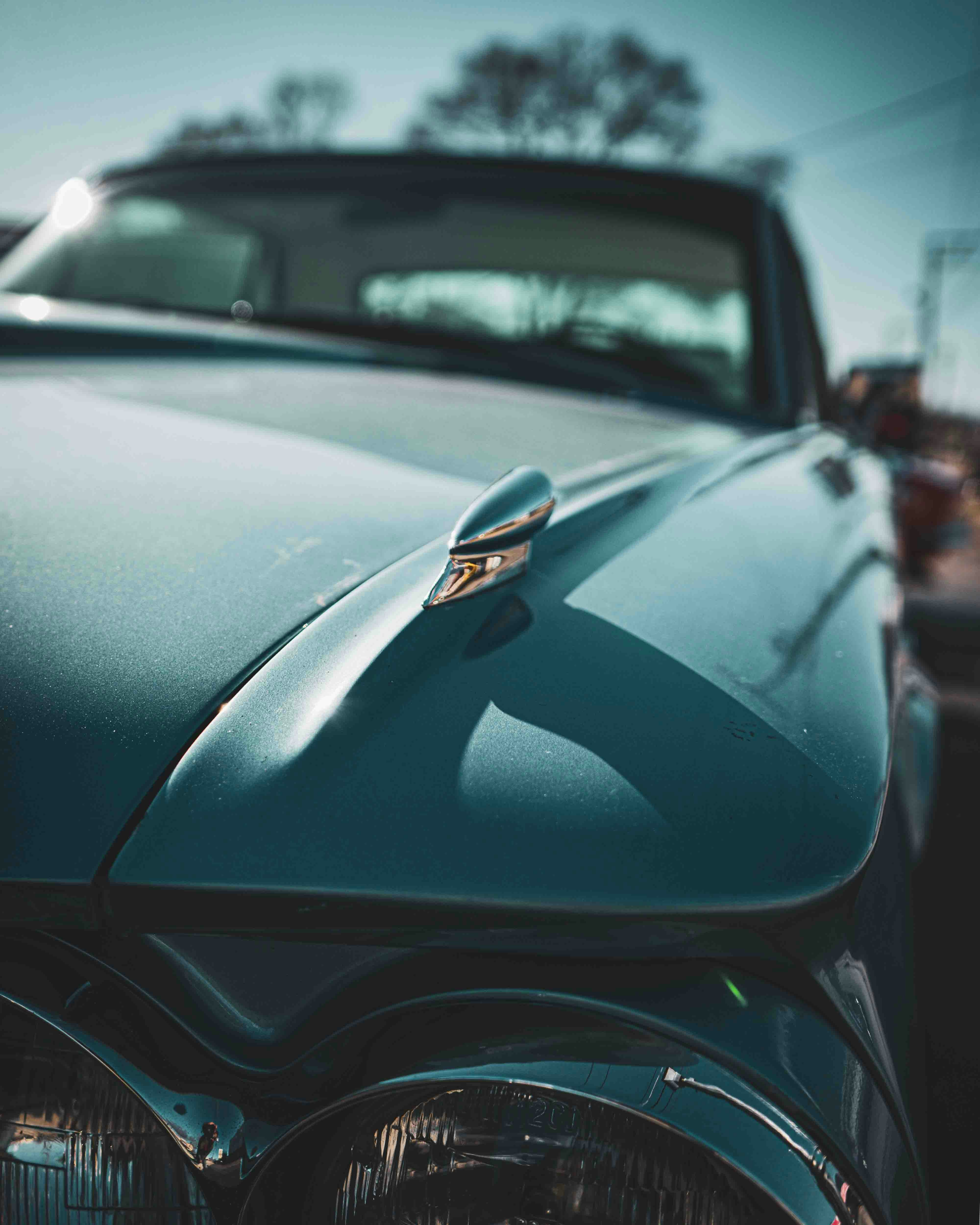 Photo by romanwarren