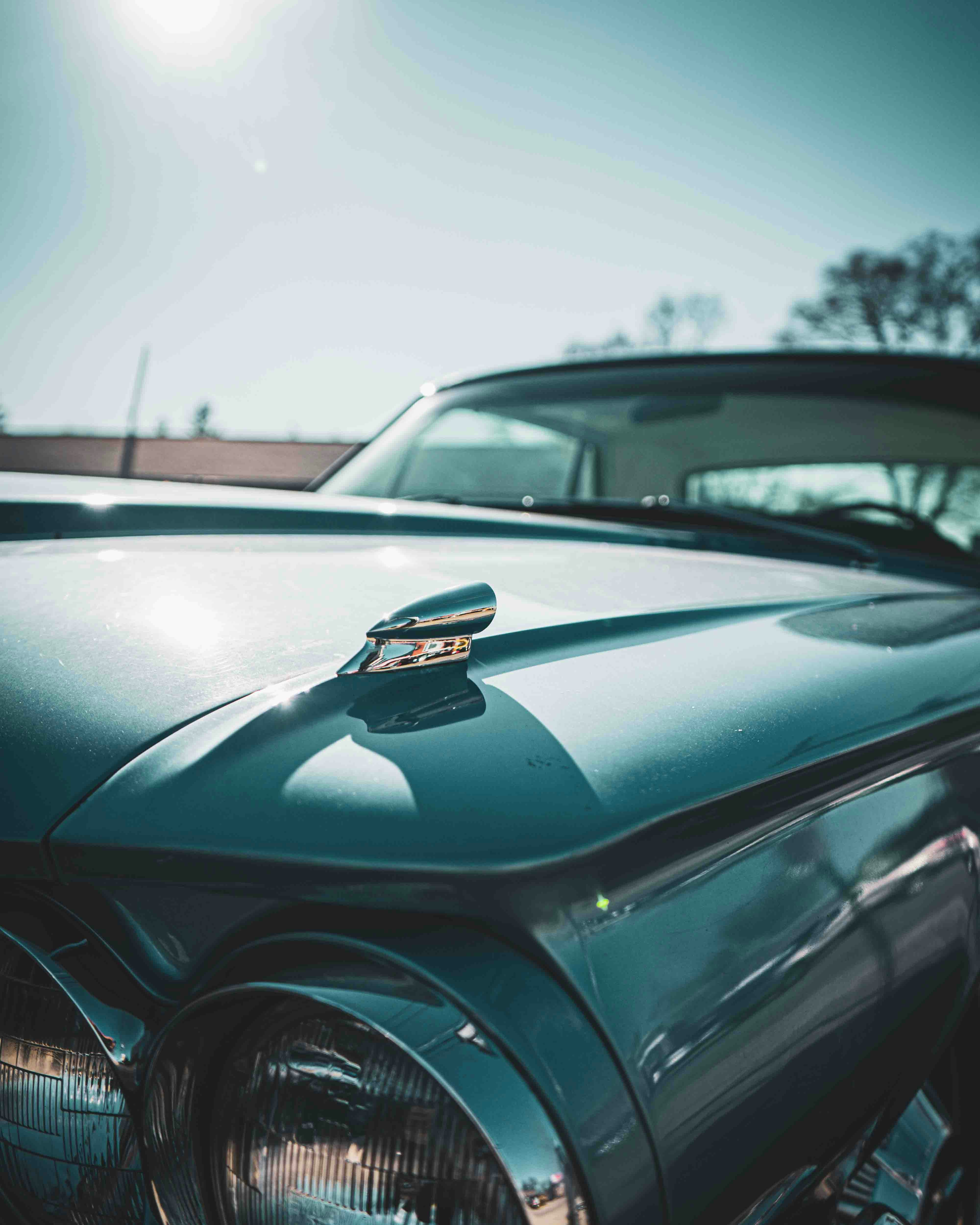 Photo by romanwarren