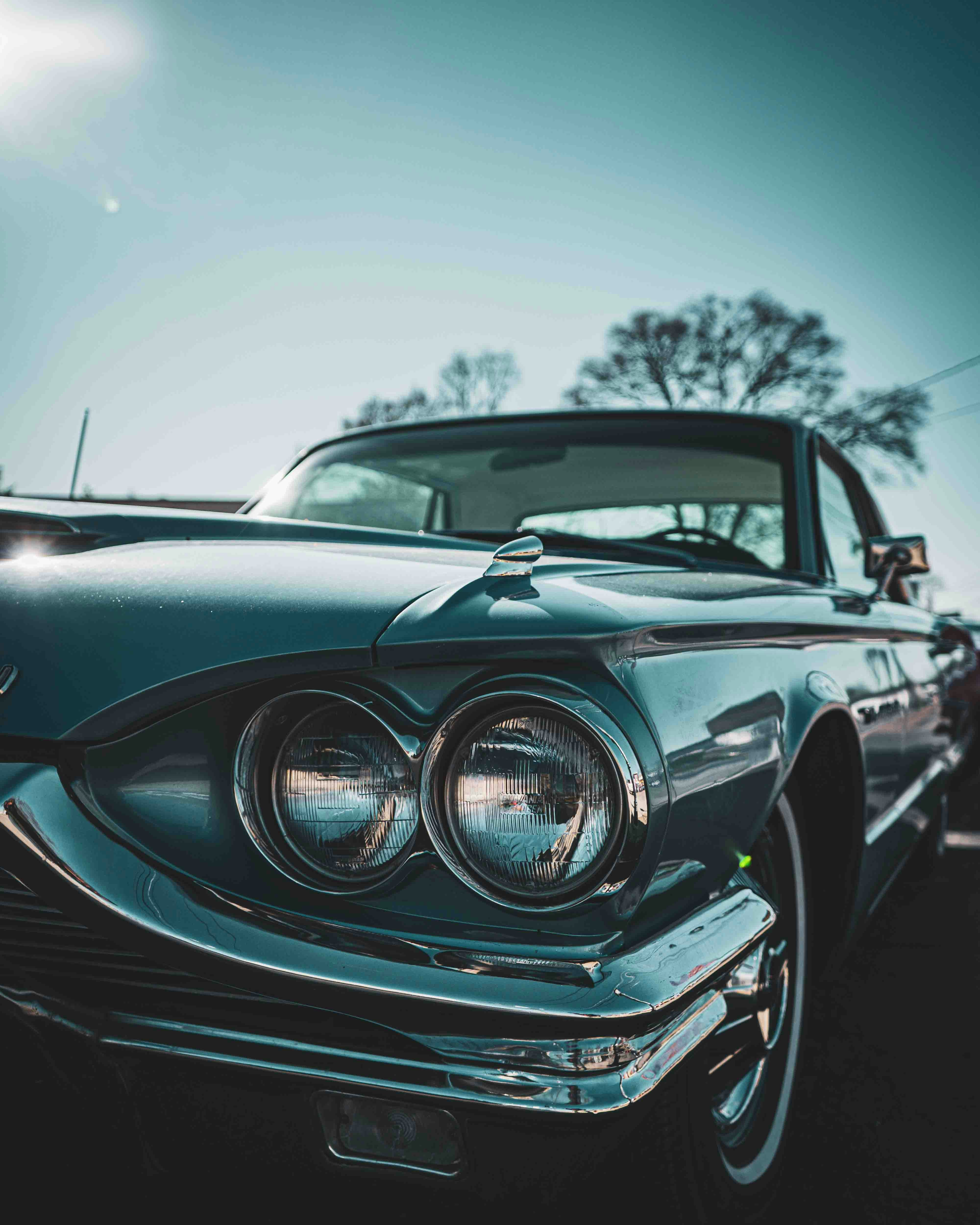 Photo by romanwarren