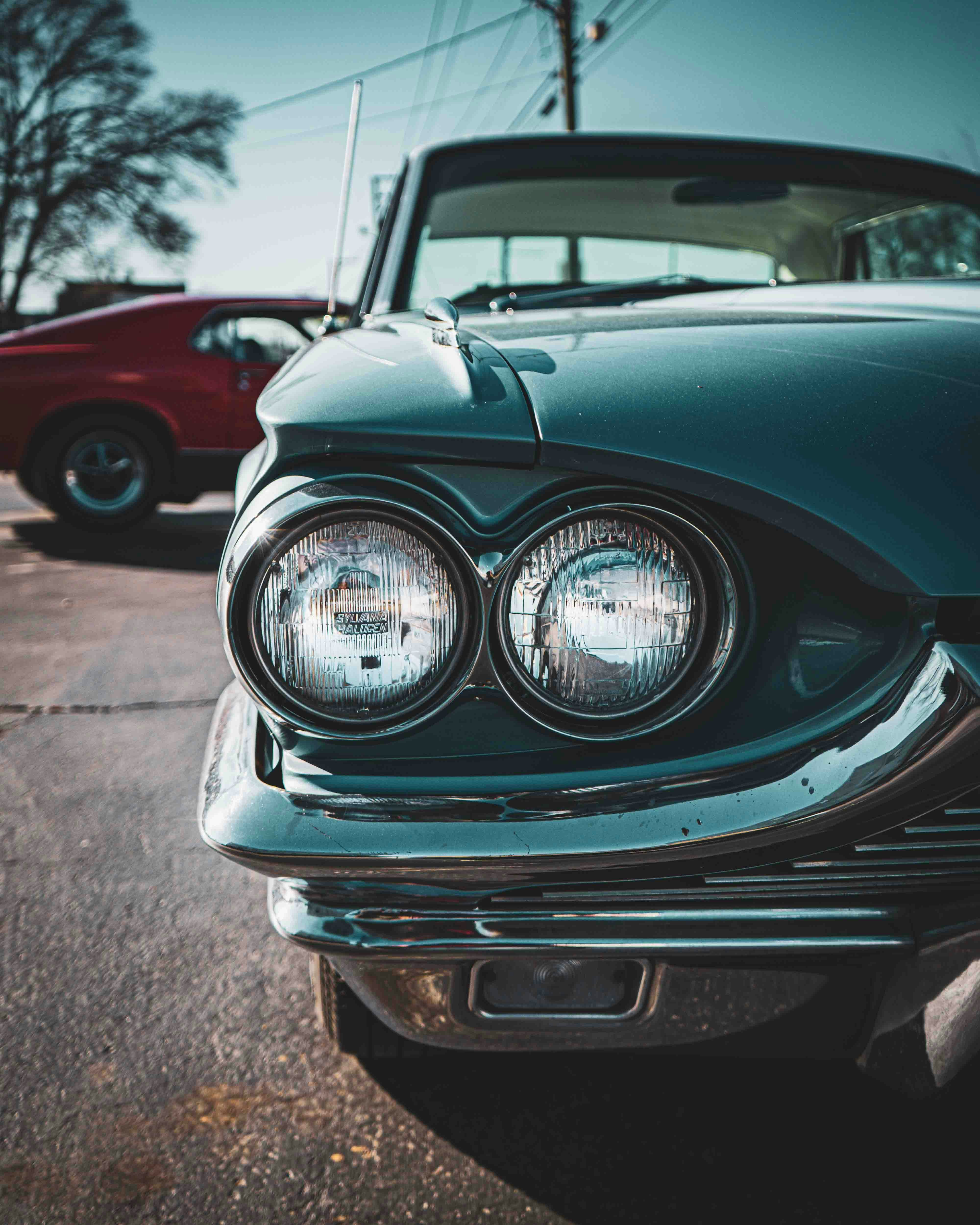 Photo by romanwarren