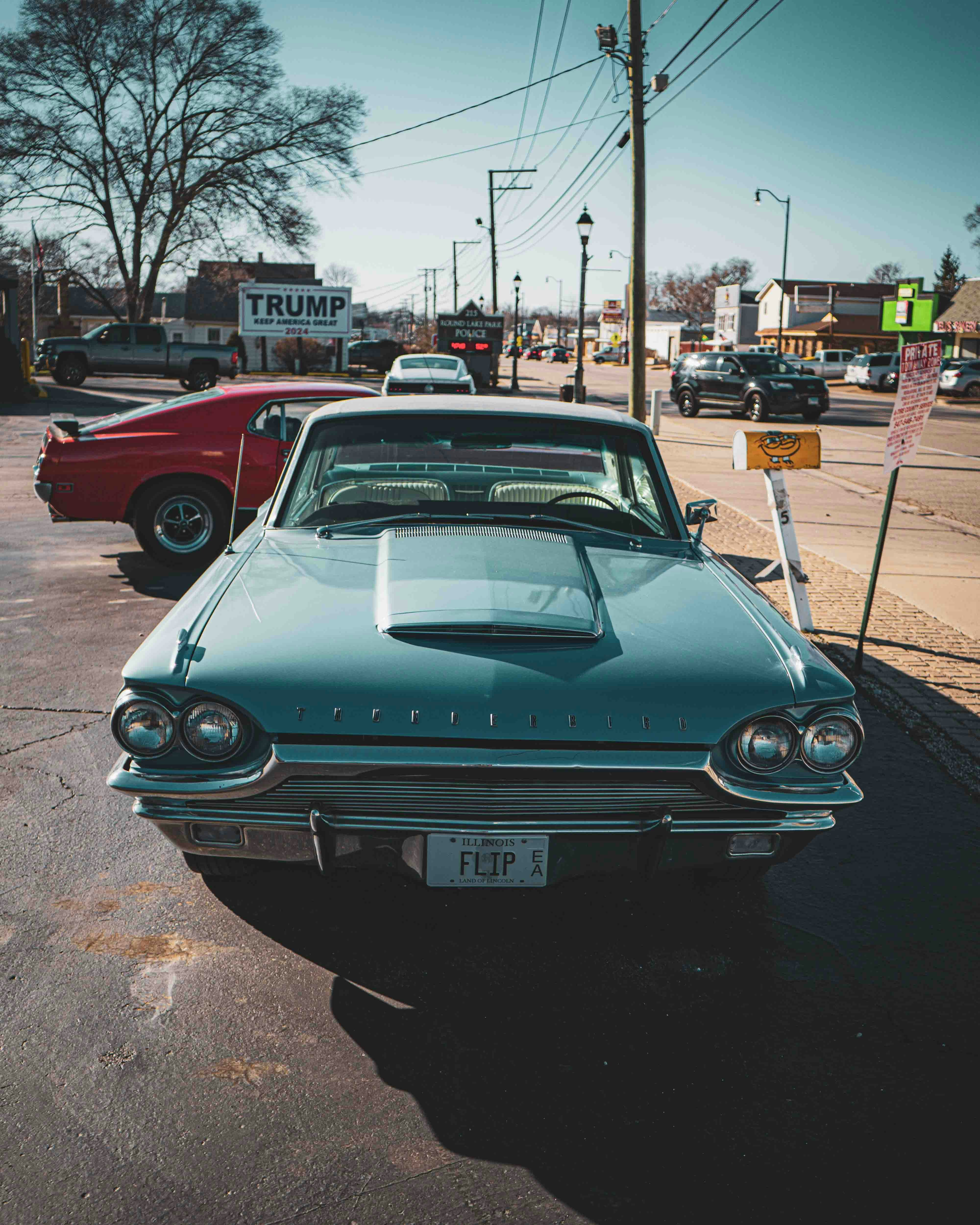 Photo by romanwarren