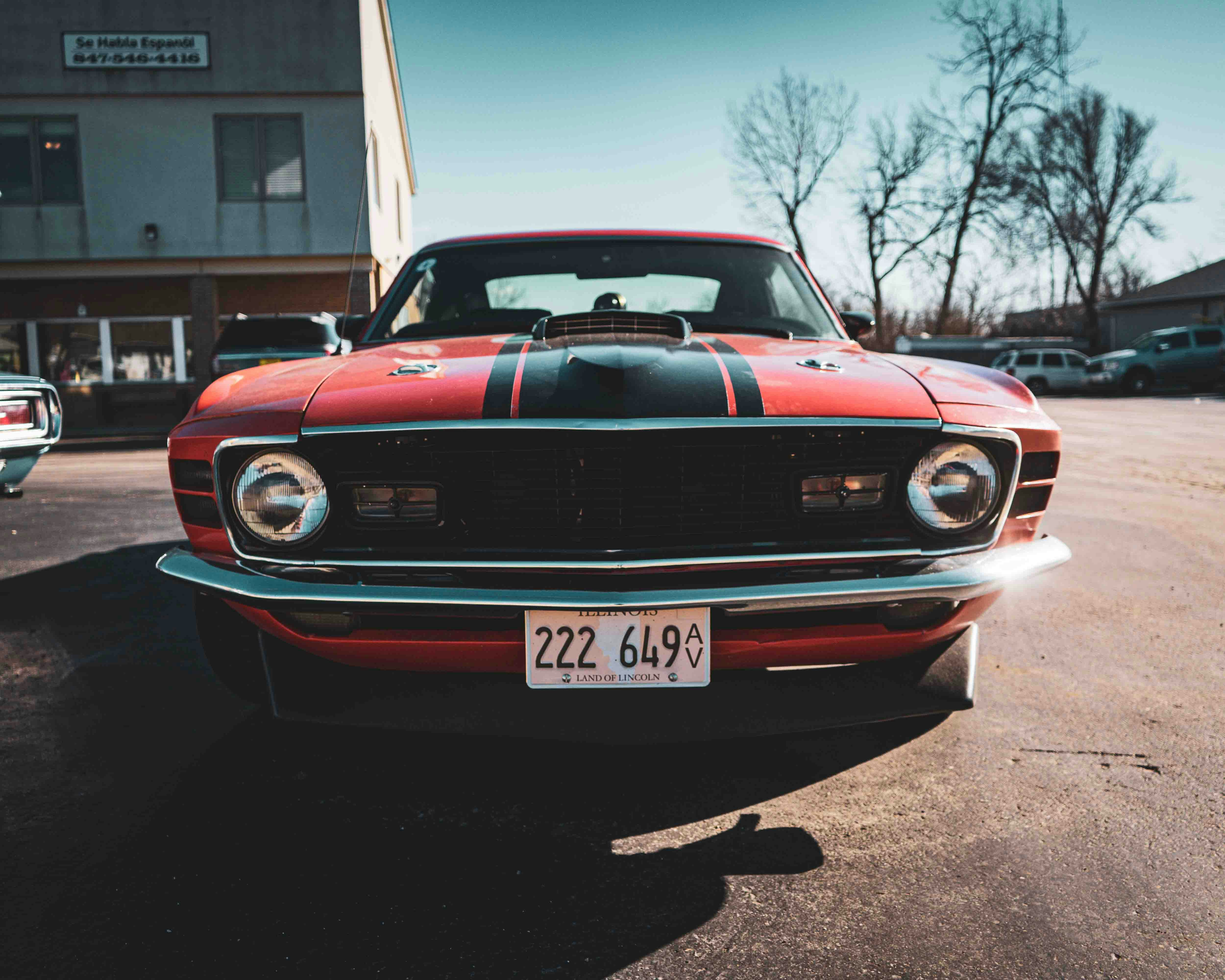 Photo by romanwarren